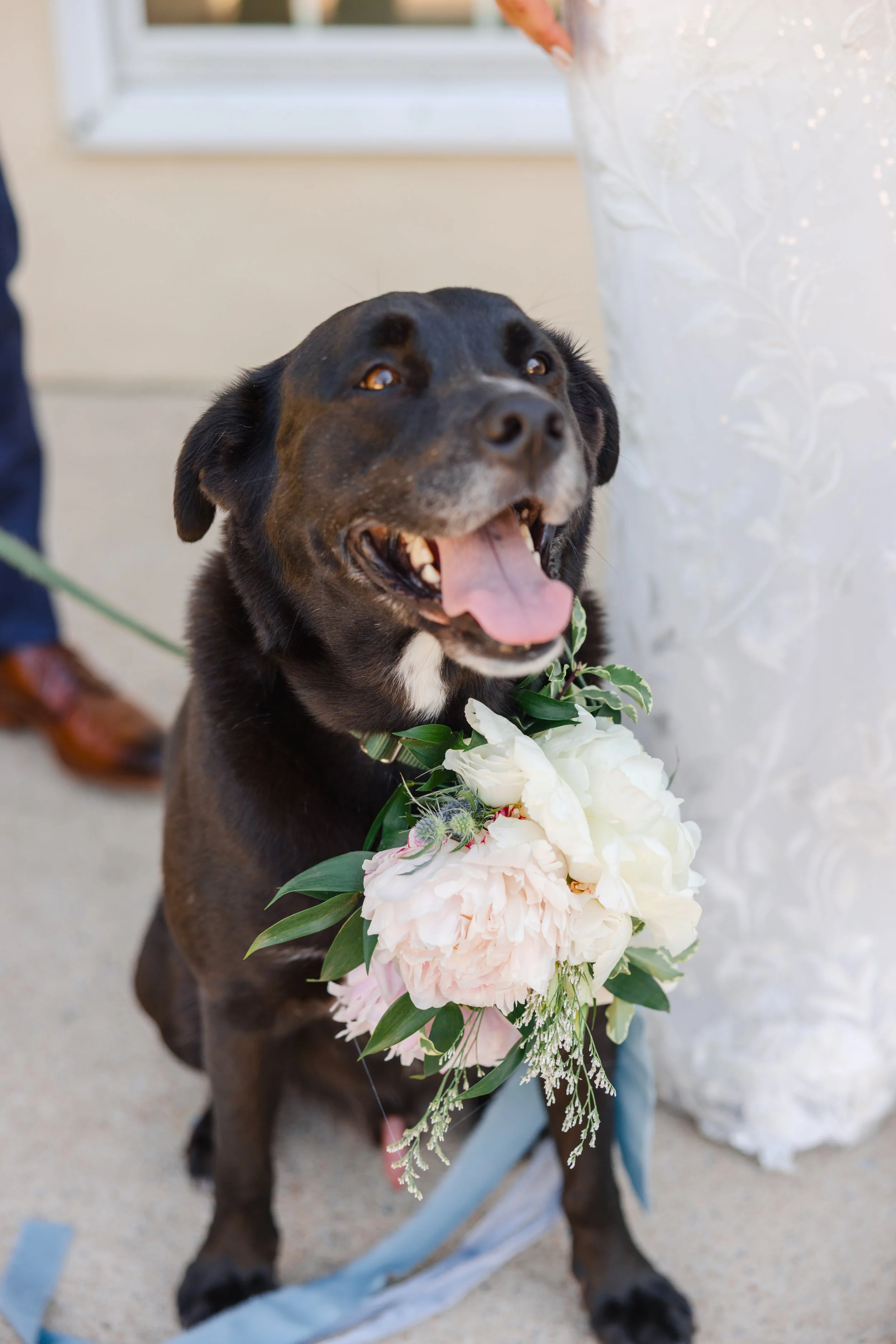Curated-Wedding-Collection-Sophia-and-Dan-80.jpg
