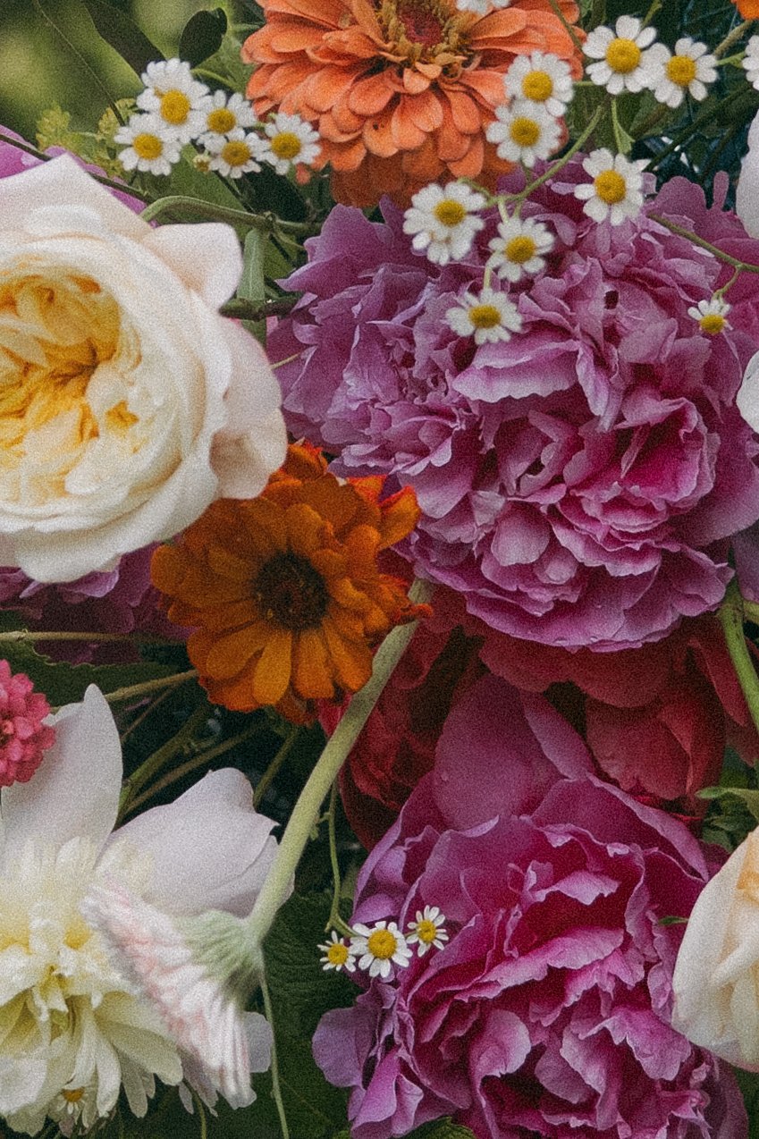 Ceremony-9.jpg