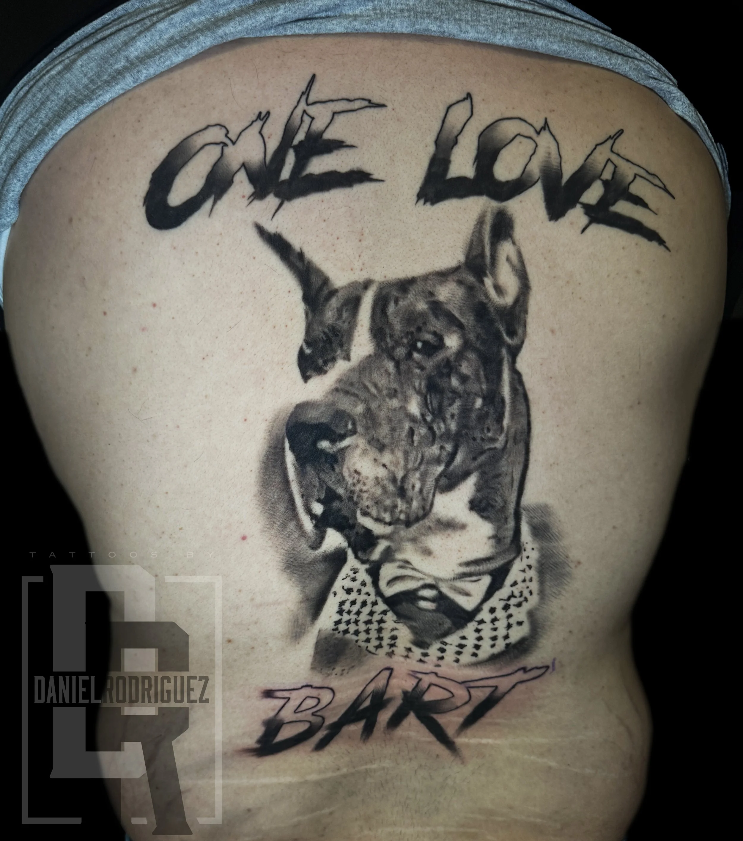 Healed Portrait of My Clients Best Friend - Portrait Done By Daniel Rodriguez, Dallas Tx