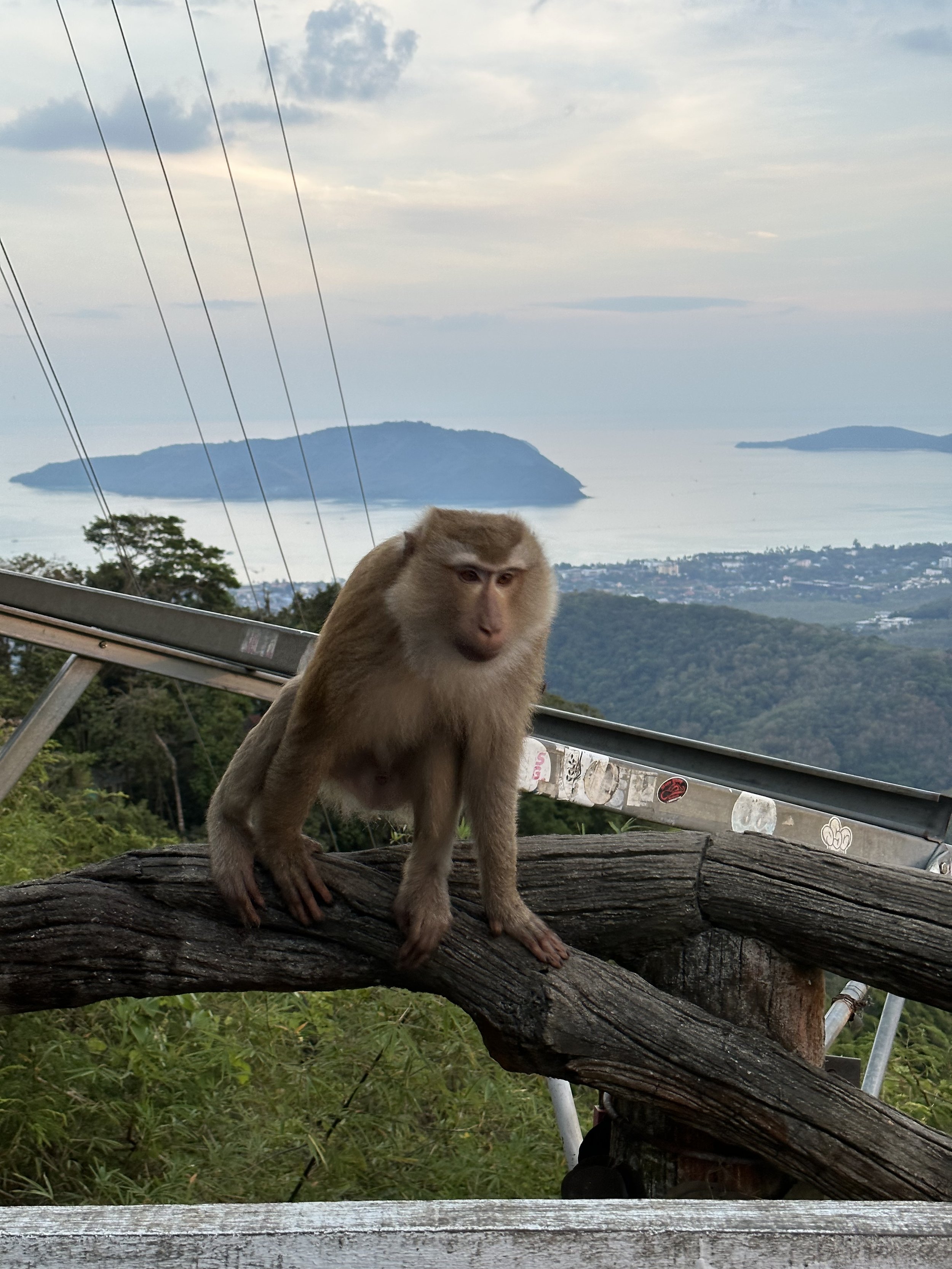 Vaccin inför din resa till Asien