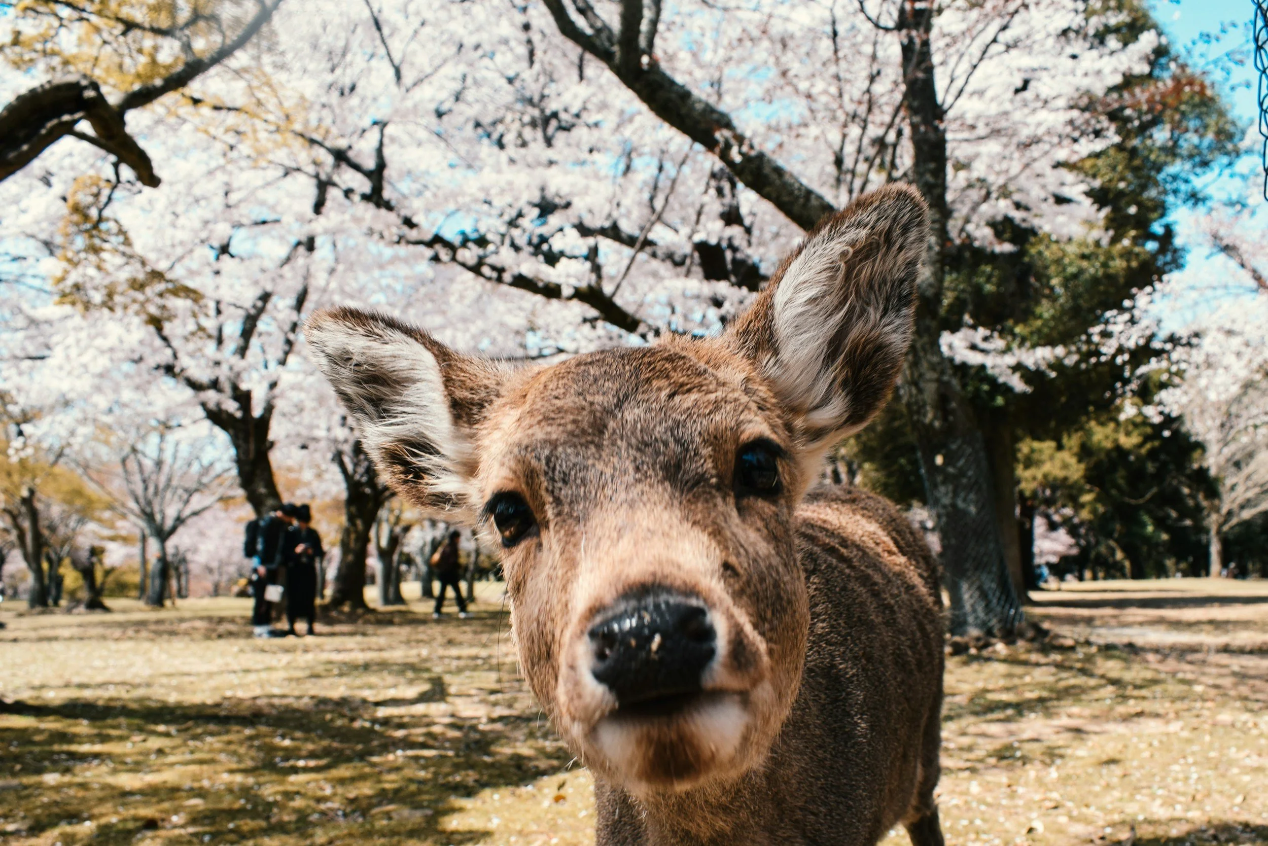 unsplash-image-mdSz_AY5Hi8.jpg