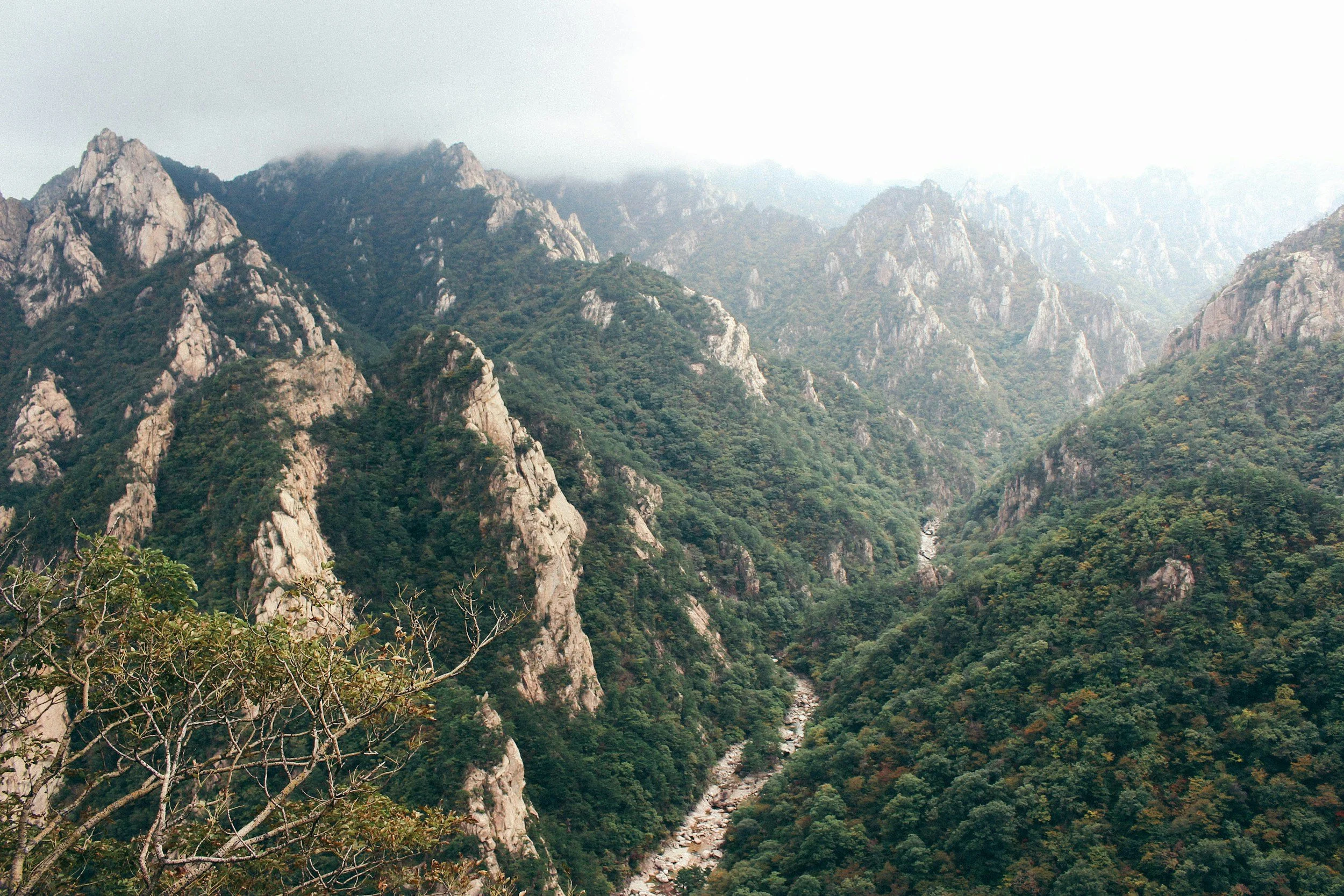 unsplash-image-bUhZj-B4lYs.jpg