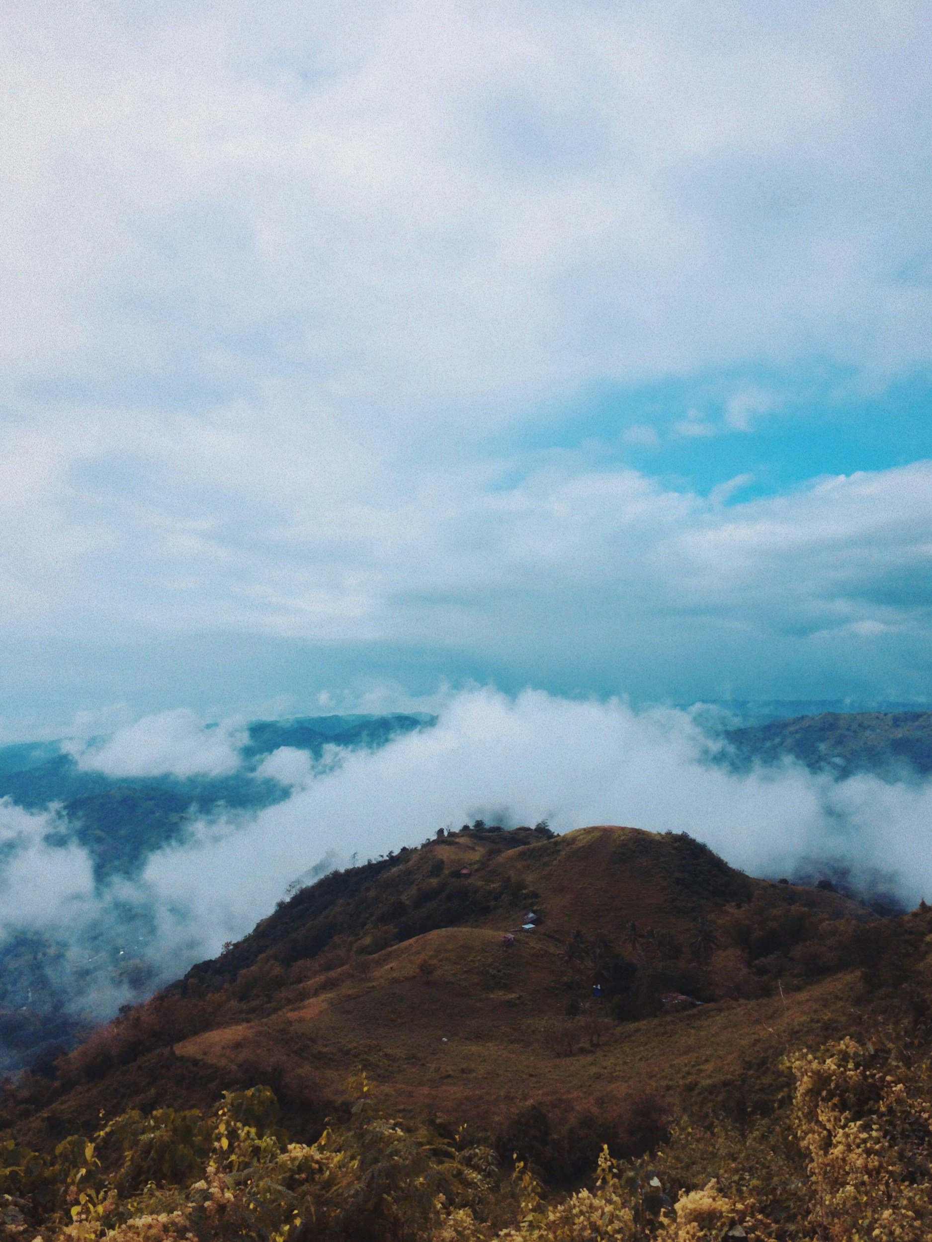 unsplash-image-Y533suNFf1A.jpg