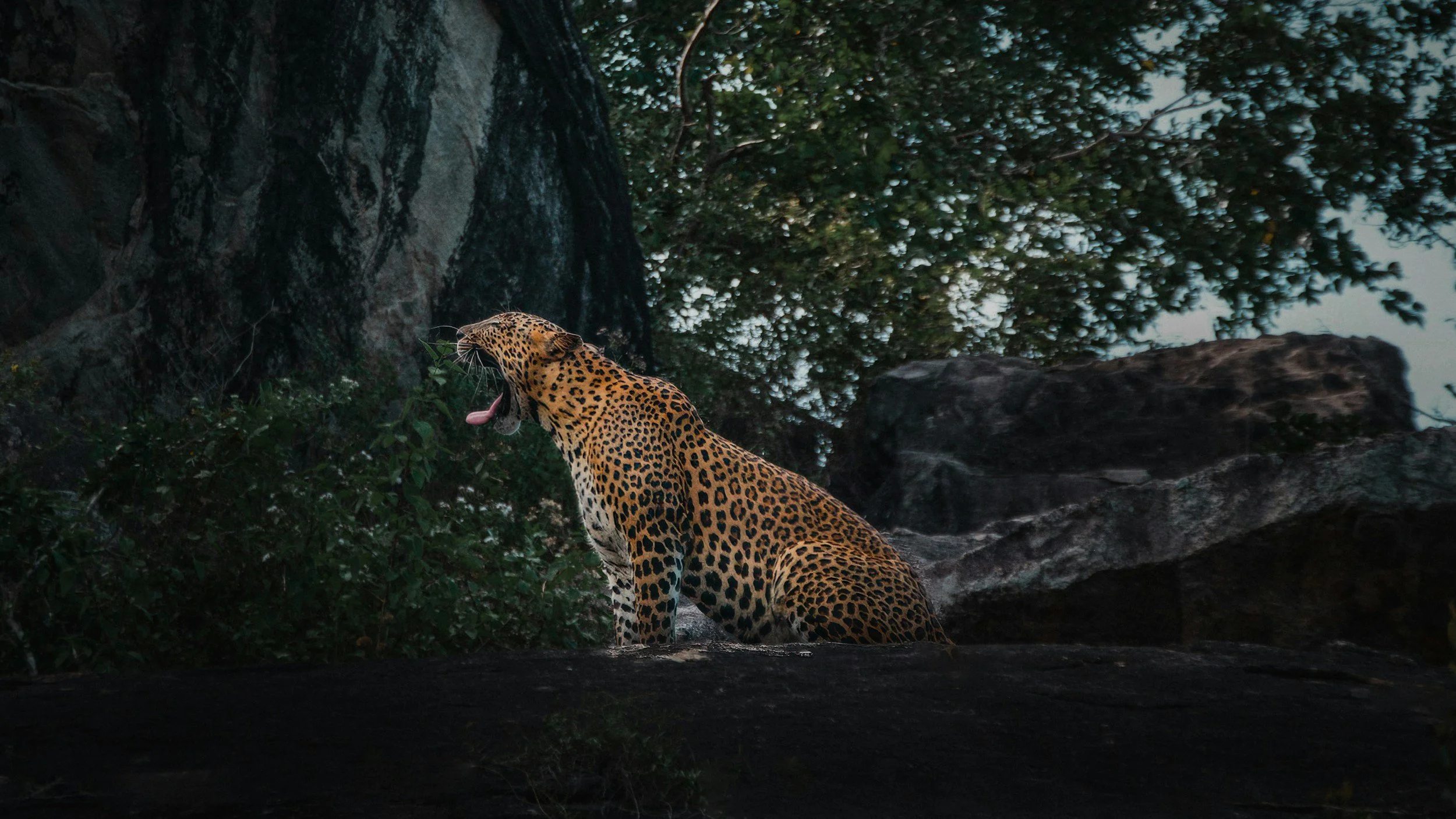 unsplash-image-_sFOJHDmO6A.jpg