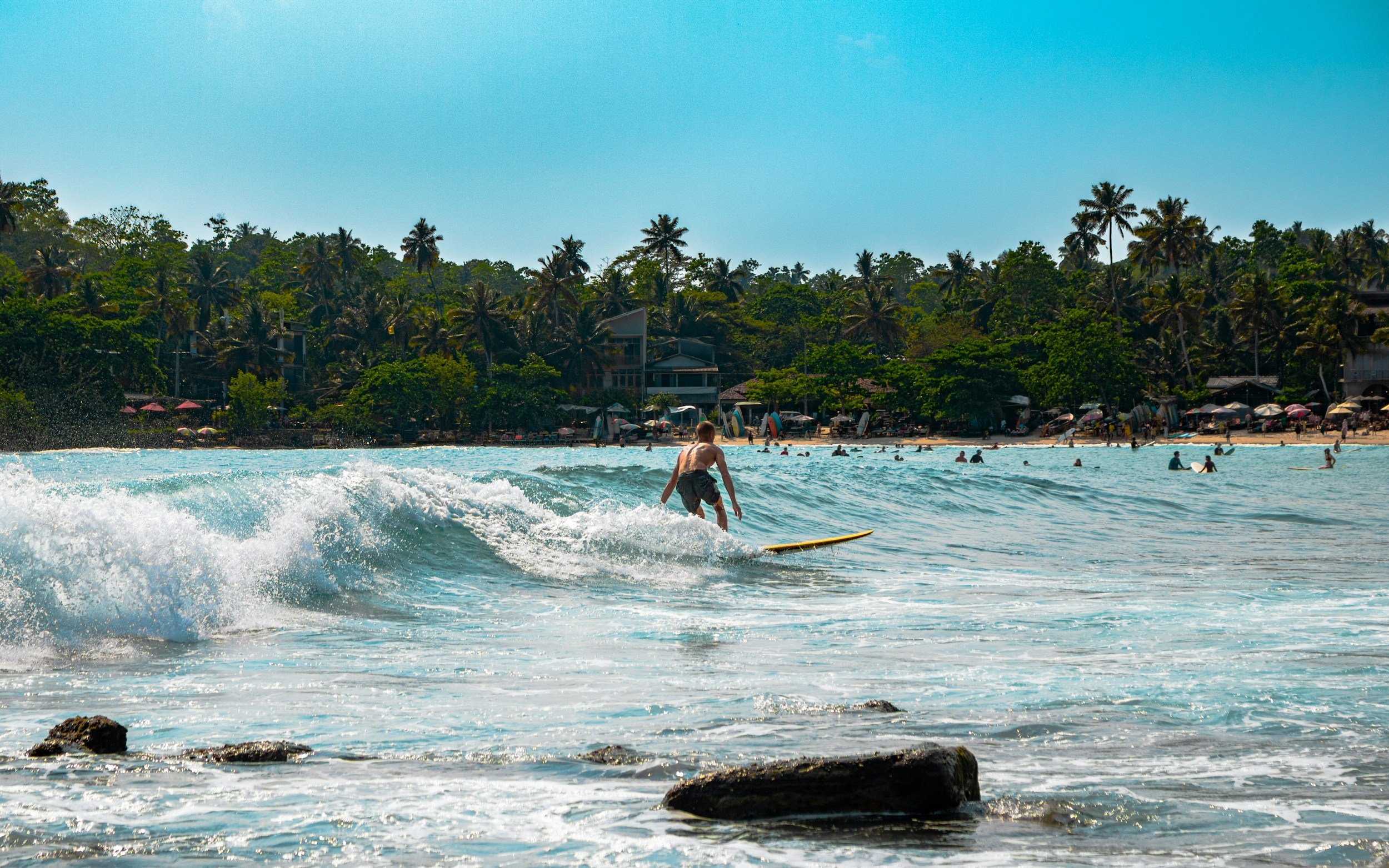 unsplash-image-Rk1aOrEjxOY.jpg
