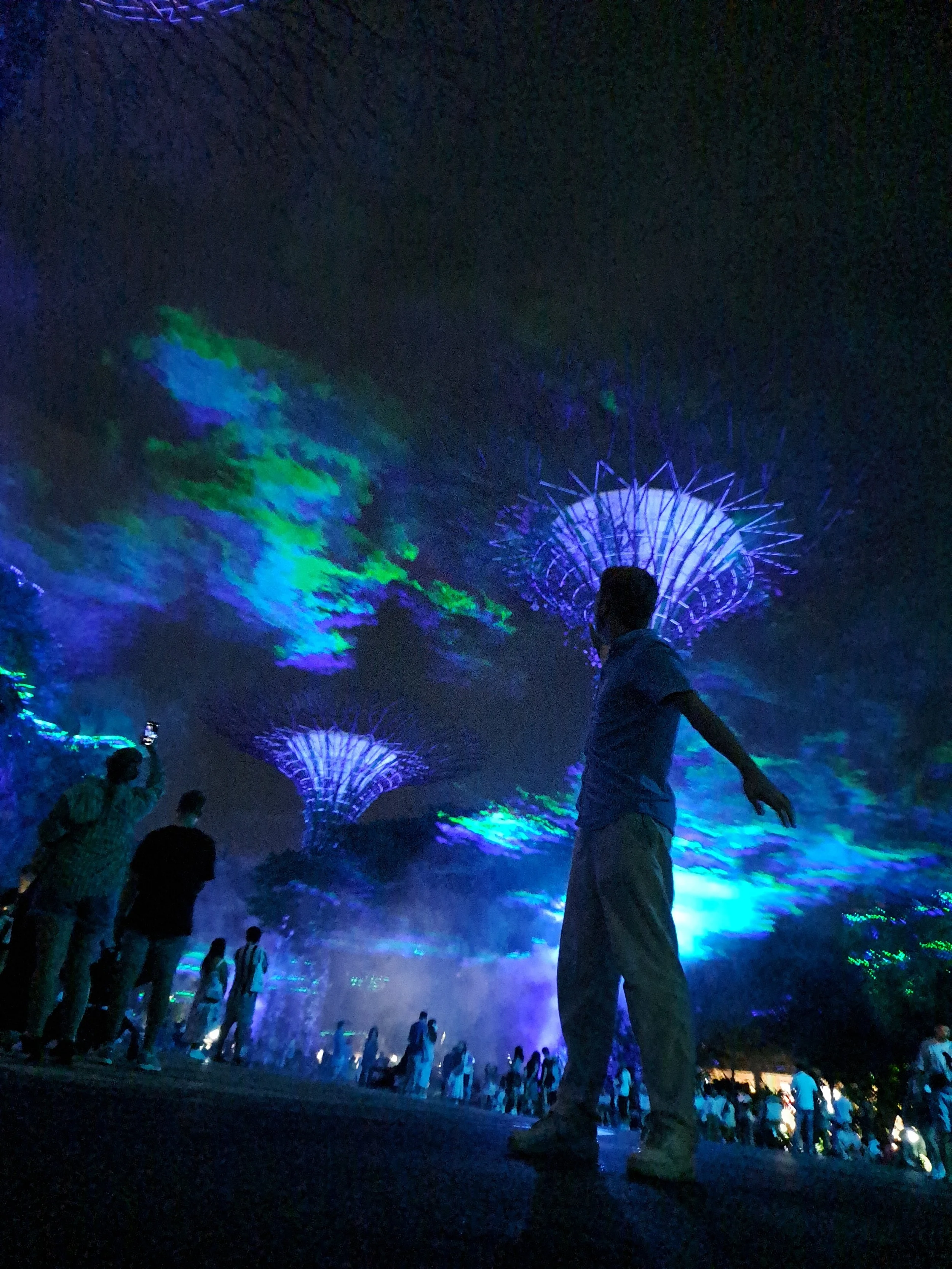 Garden at the Bay - Super Tree Forest. Lichtshow