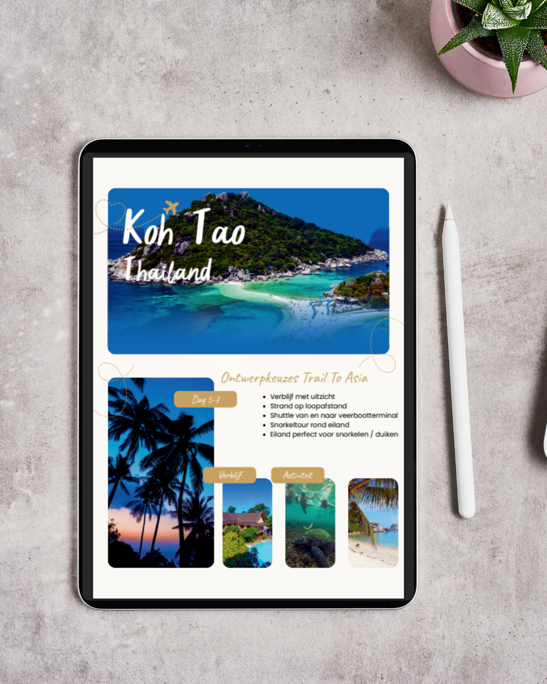 Flyer over Koh Tao, Thailand met afbeeldingen van het eiland, palmbomen, een onderwater scène en een strand, met tekst over activiteiten zoals snorkelen en duiken.