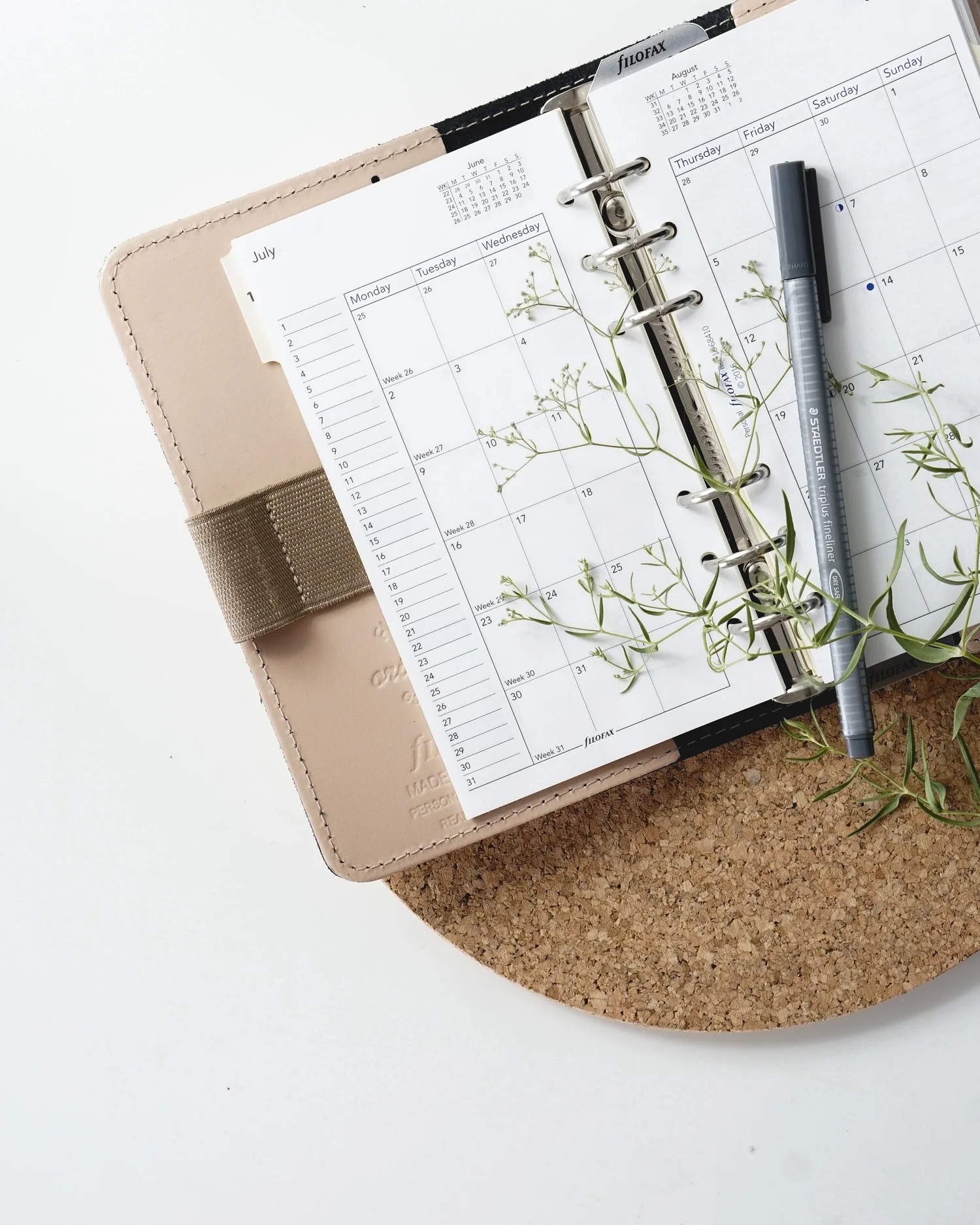 Agenda ouvert, avec un stylo noir posé dessus, entourée de petites branches vertes, posée sur une surface en liège