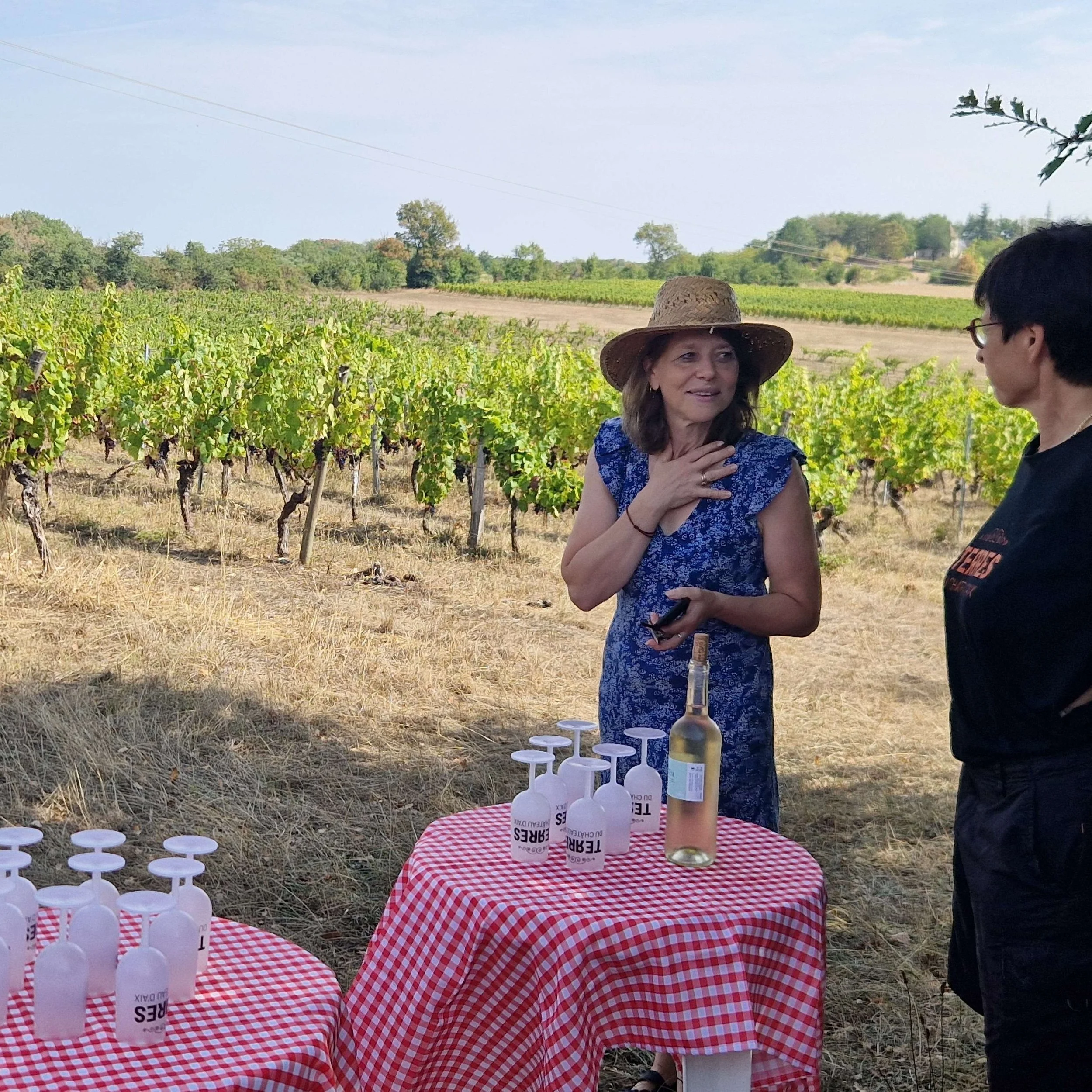 VINEYARD 2 INSTA11.jpg