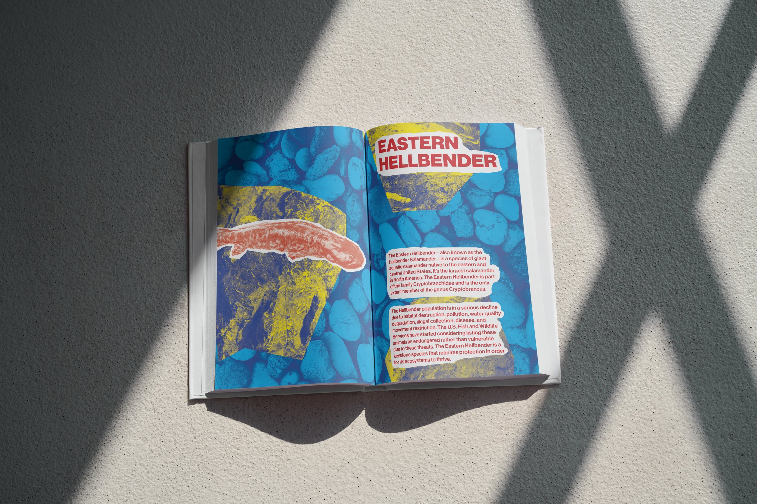hellbenderbookmock.jpg