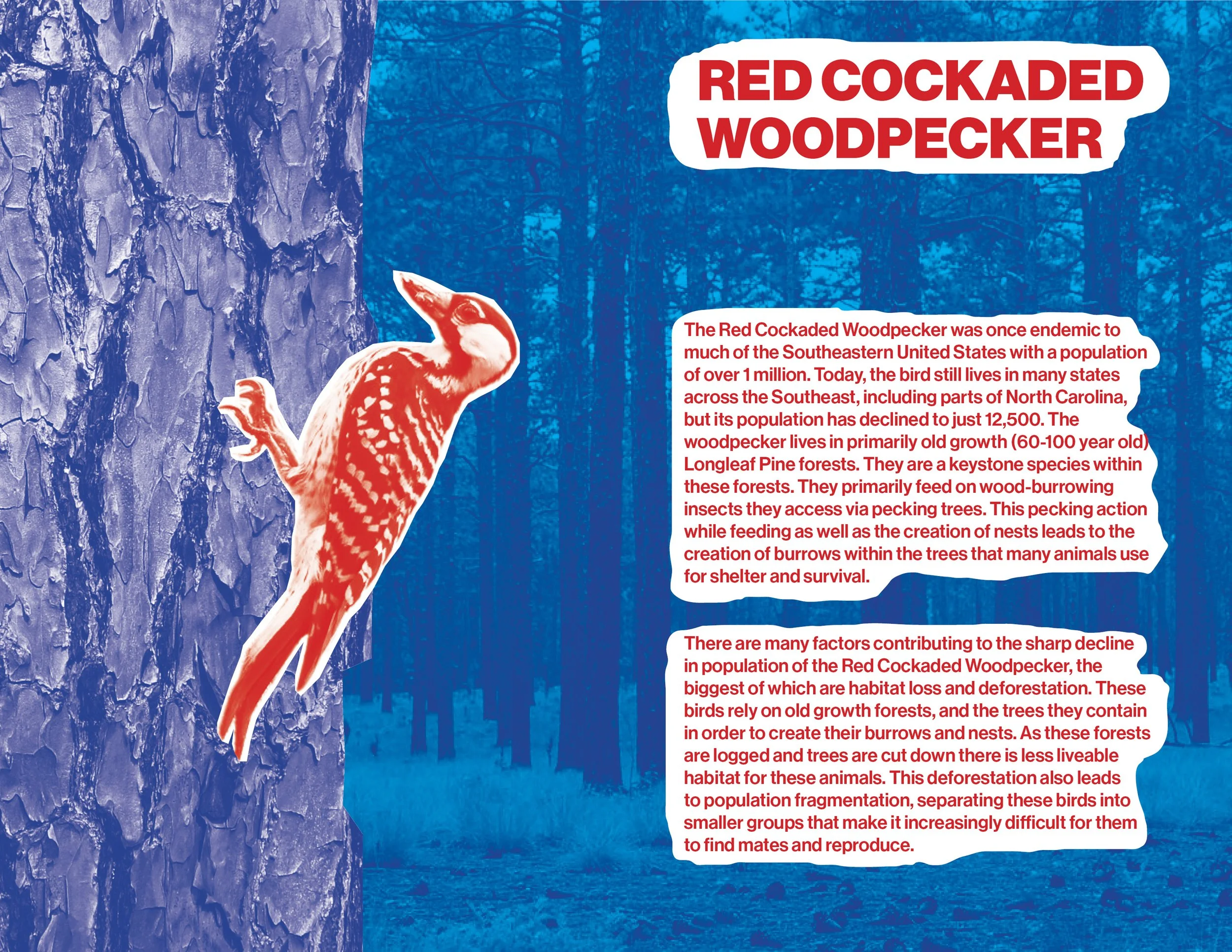 Small book 2 spreads2.jpg