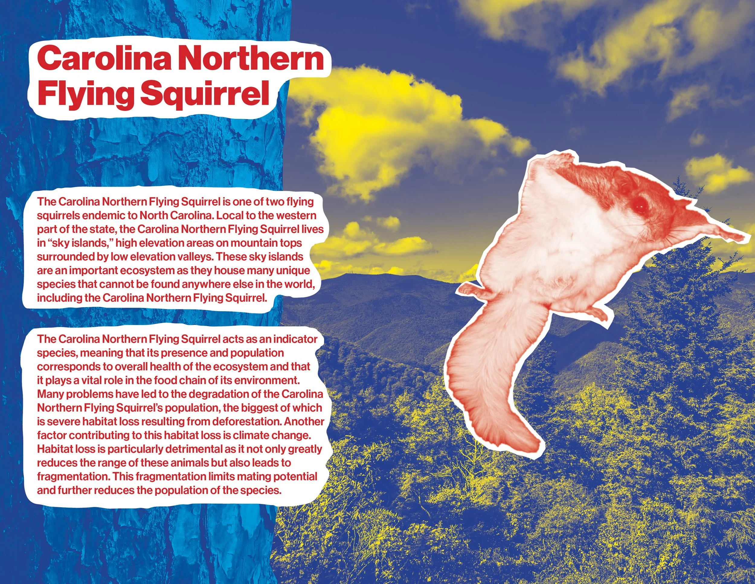 Small book 2 spreads3.jpg