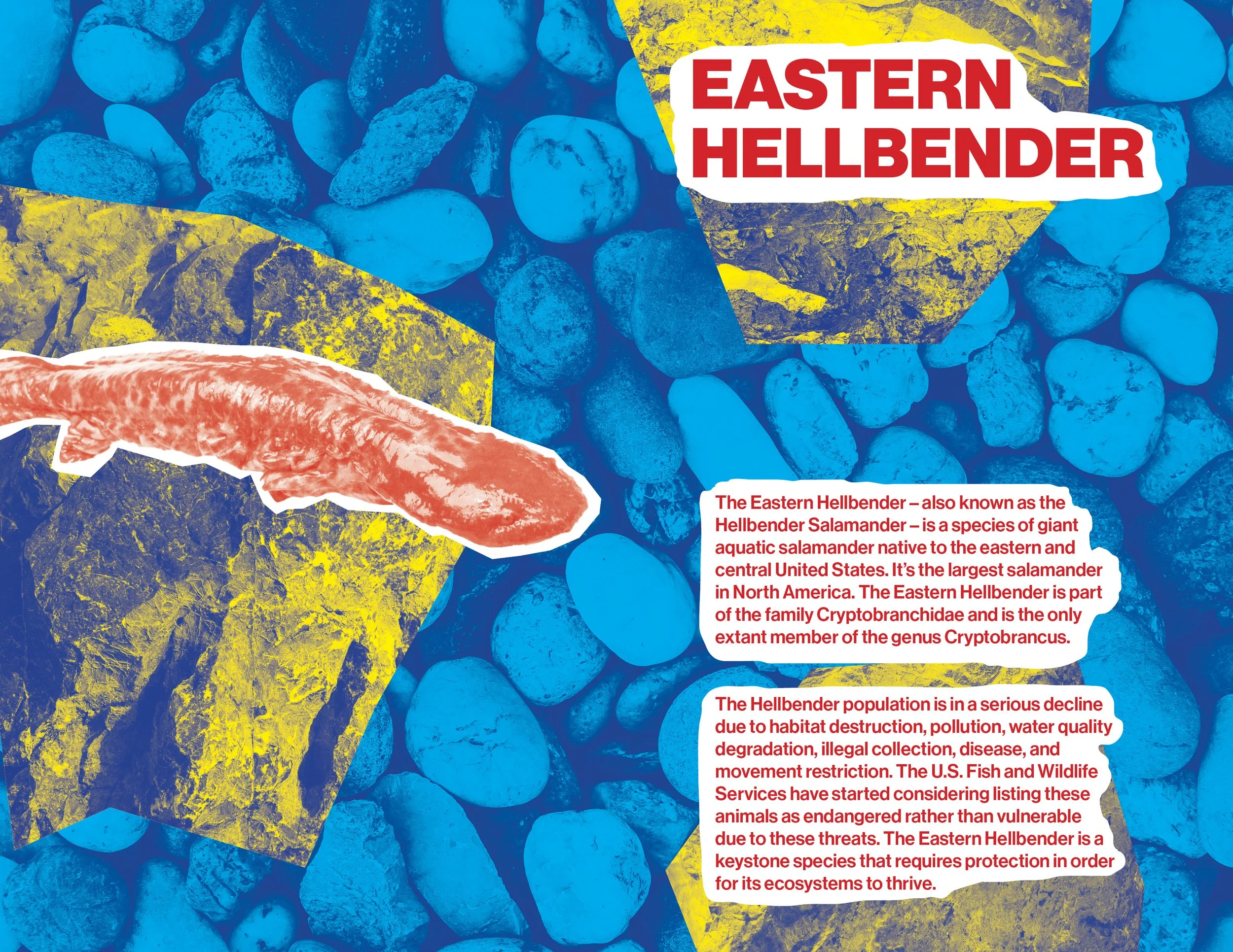 Small book 2 spreads.jpg