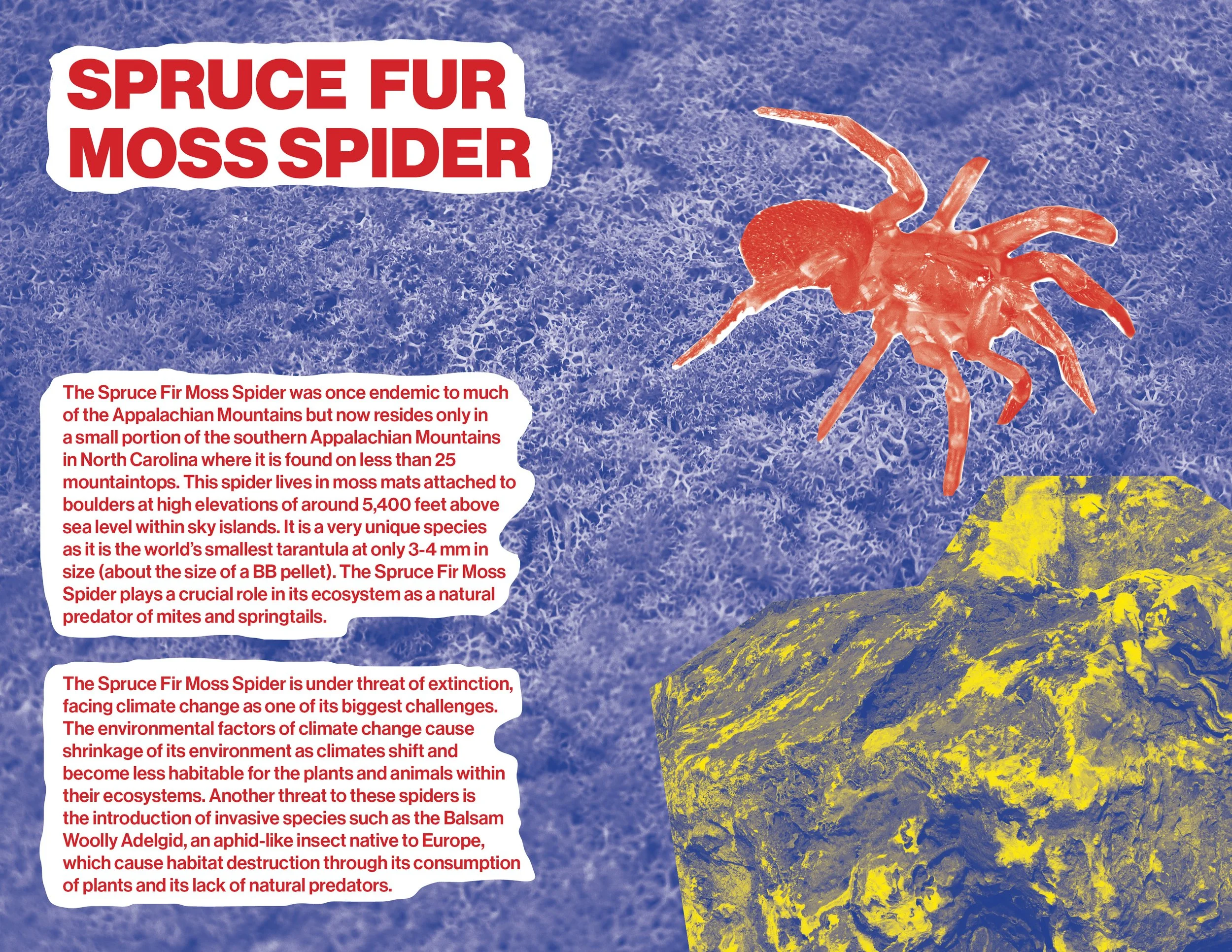 Small book 2 spreads4.jpg