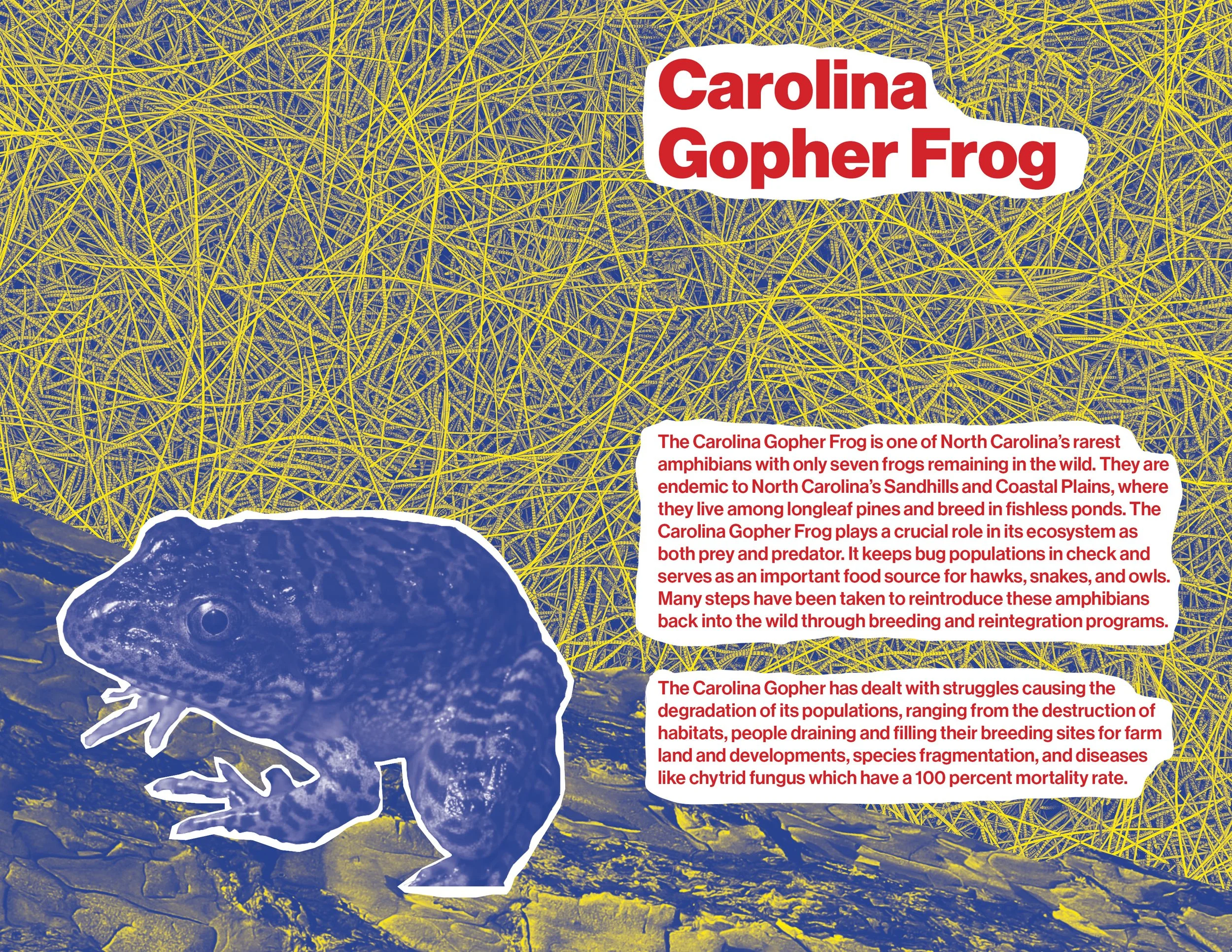 Small book 2 spreads5.jpg