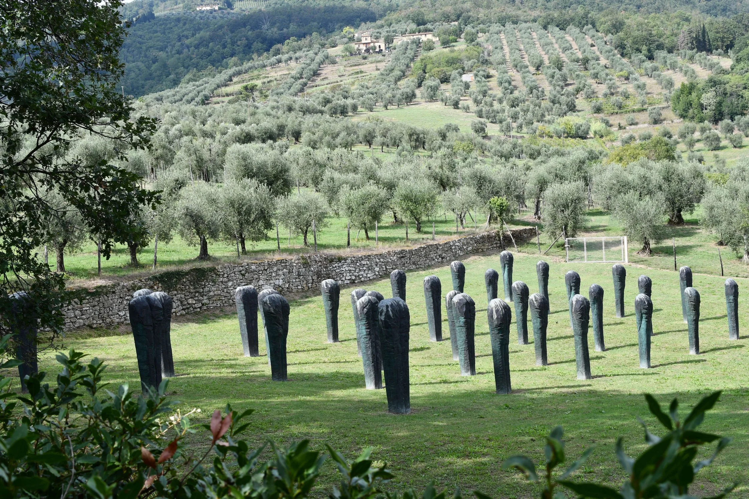 Clementina lavora a una documentazione per certificazione PACTA, tra arte e diritto.