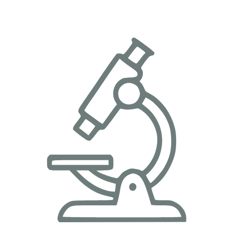 Icona con microscopio per servizi di diagnostica tecnico-scientifica nel restauro dei beni culturali – Clementina Dal Pian