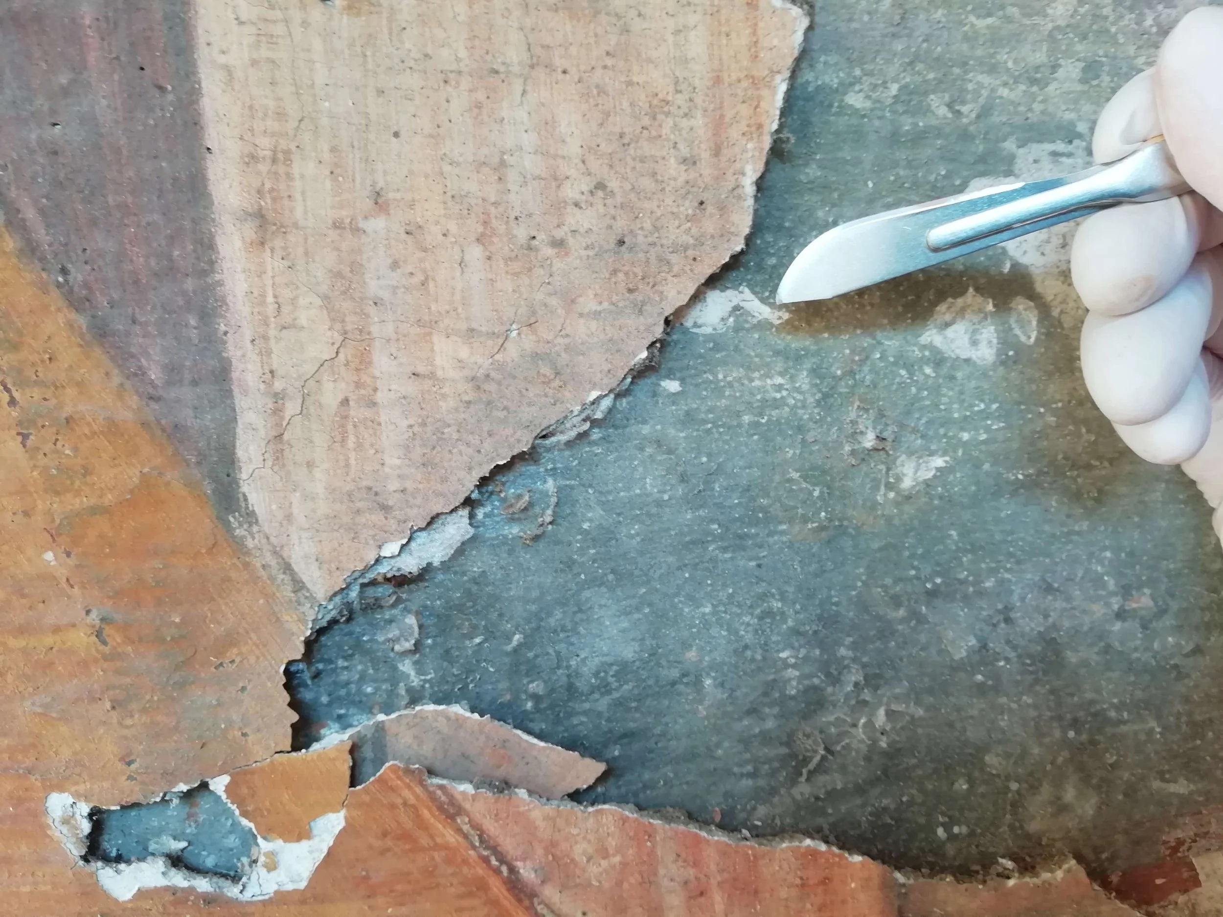 Dettaglio delle mani di Clementina mentre lavora a un piano diagnostico per la conservazione.