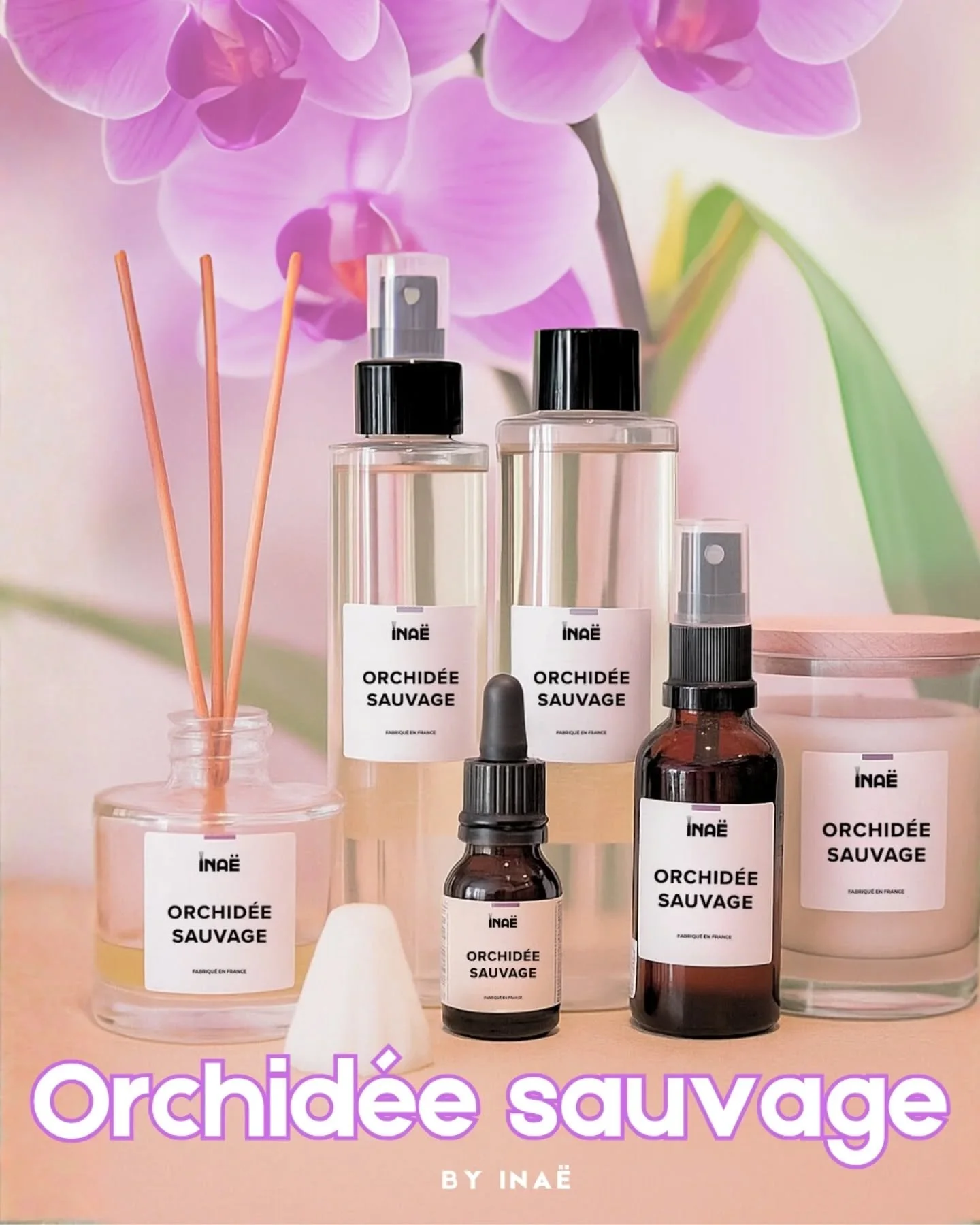🌸 Orchid&eacute;e Sauvage, une senteur florale et d&eacute;licate, &agrave; la fois apaisante et vibrante.

Et si votre maison respirait la libert&eacute; ?

#orchideesauvage #inaeparfums #parfumdinterieur #parfumfloral #decomaison #ambiancezen #mad