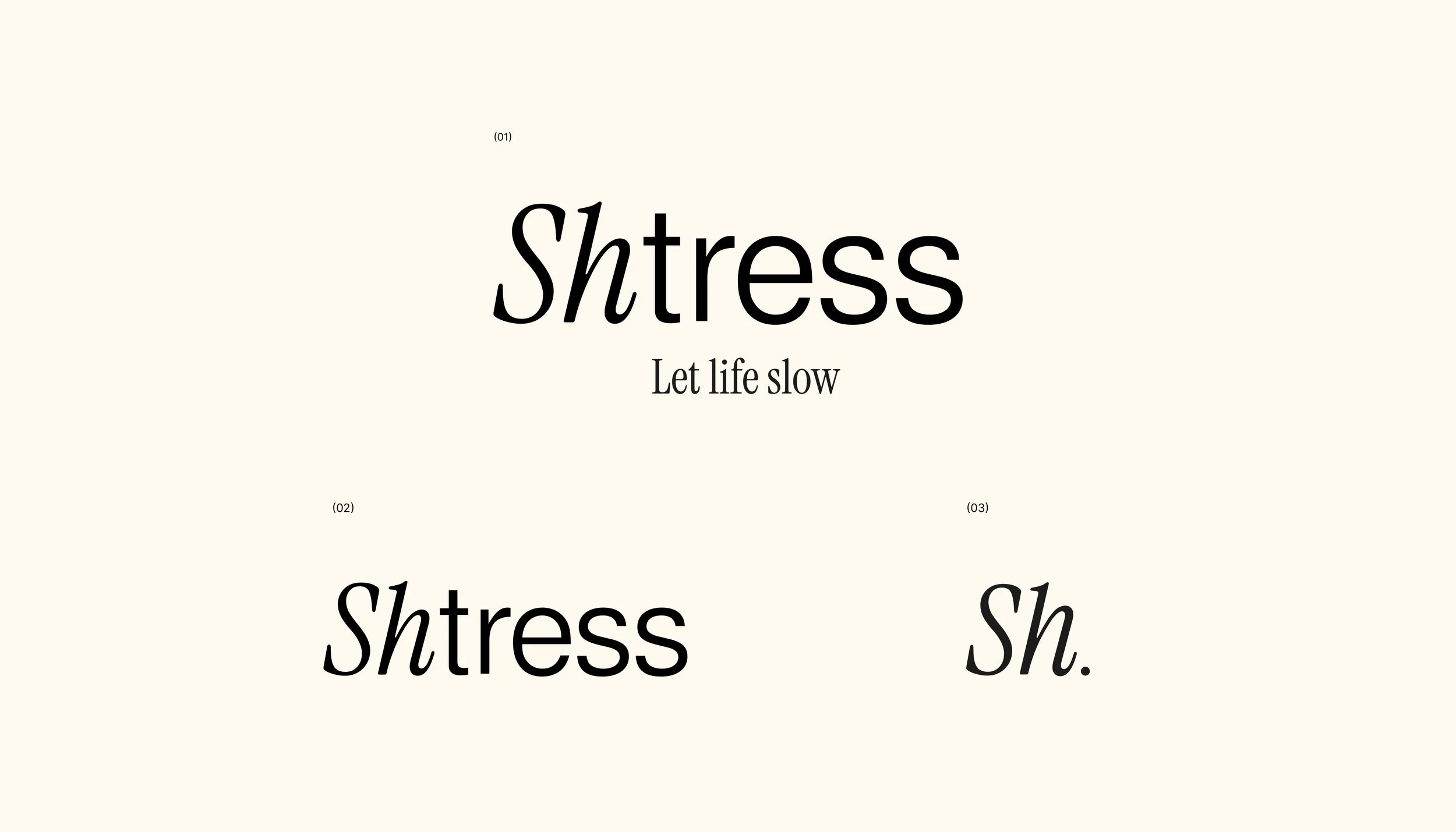 Shtress Behance-02.jpg