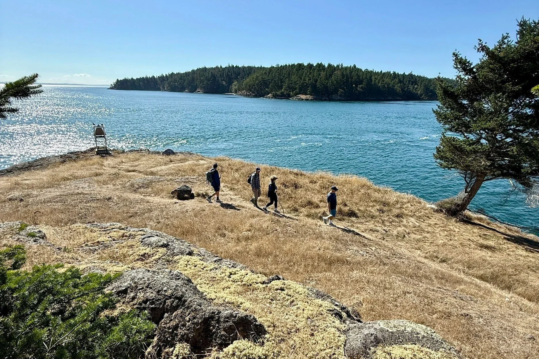 A group of five people walking along a rocky, grassy shore by the ocean, with a forested island in the background. The bright blue sky, calm water, and sunlight reflecting off the water create a scenic view.