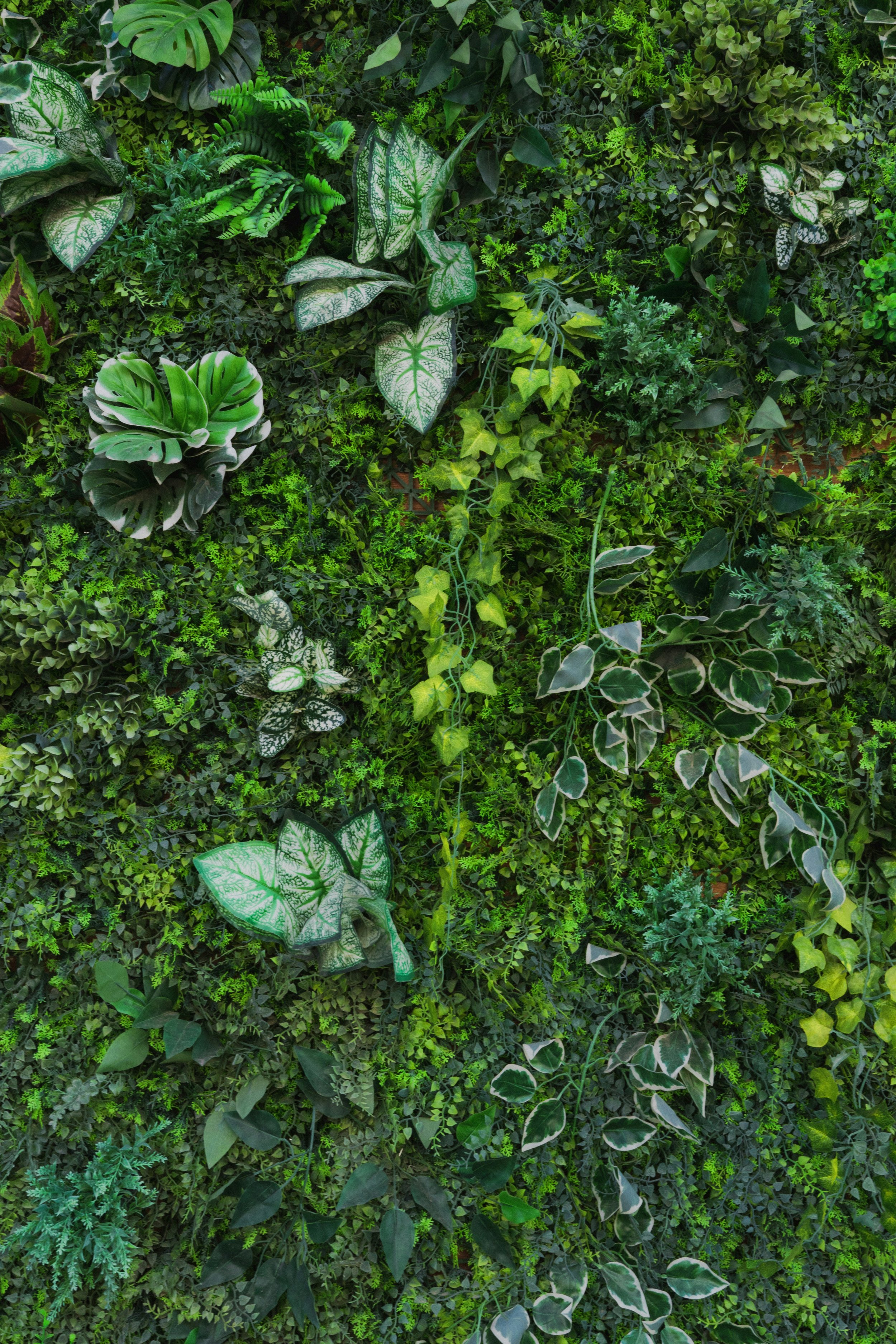 A lush green vertical garden wall filled with various types of artificial or real green plants and leaves.