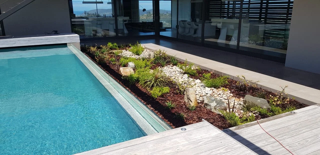 Modern outdoor pool with garden bed beside it, featuring plants, rocks, and mulch, with a glass-walled building in the background.