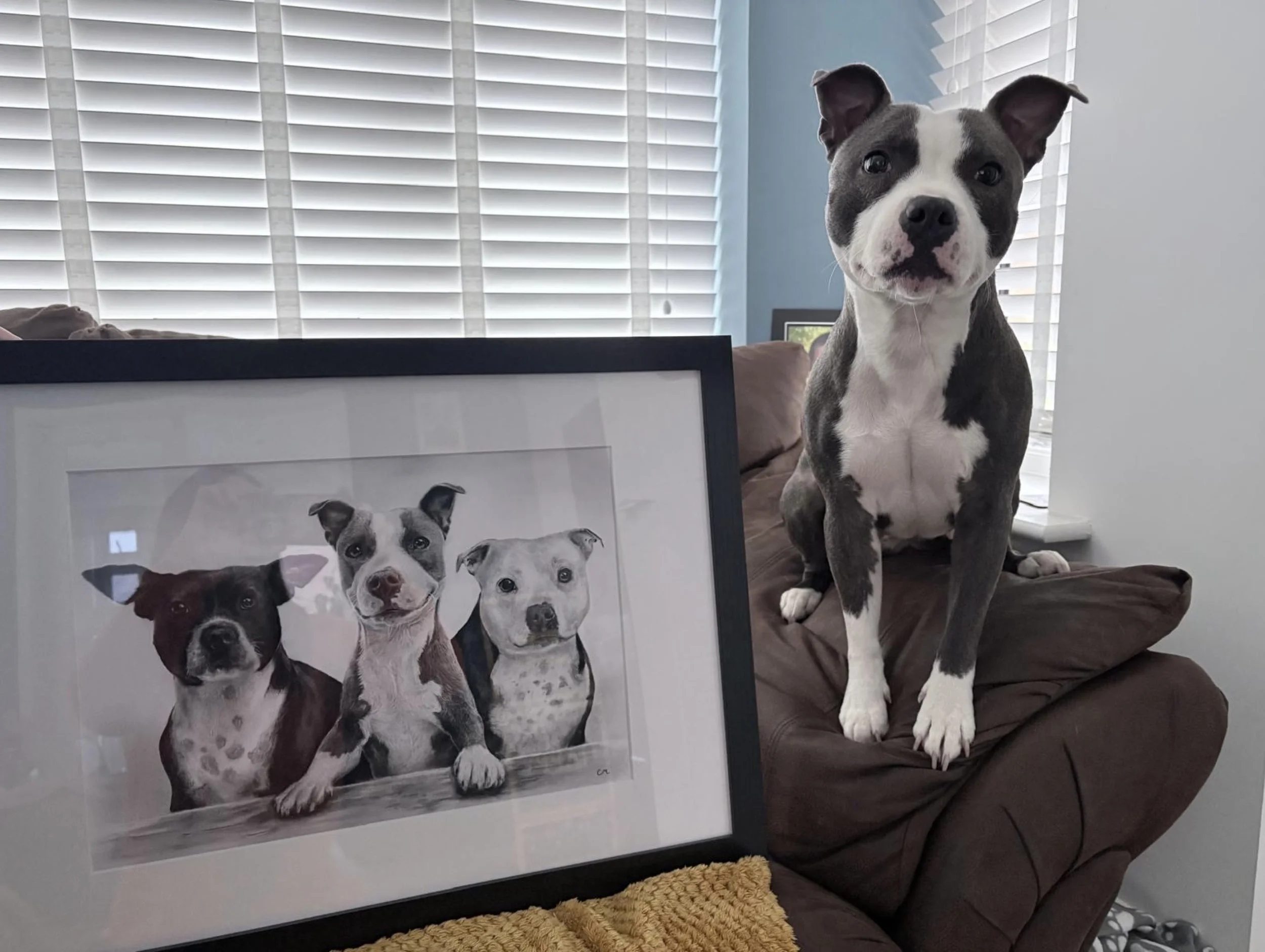 Pene - Waterlooville