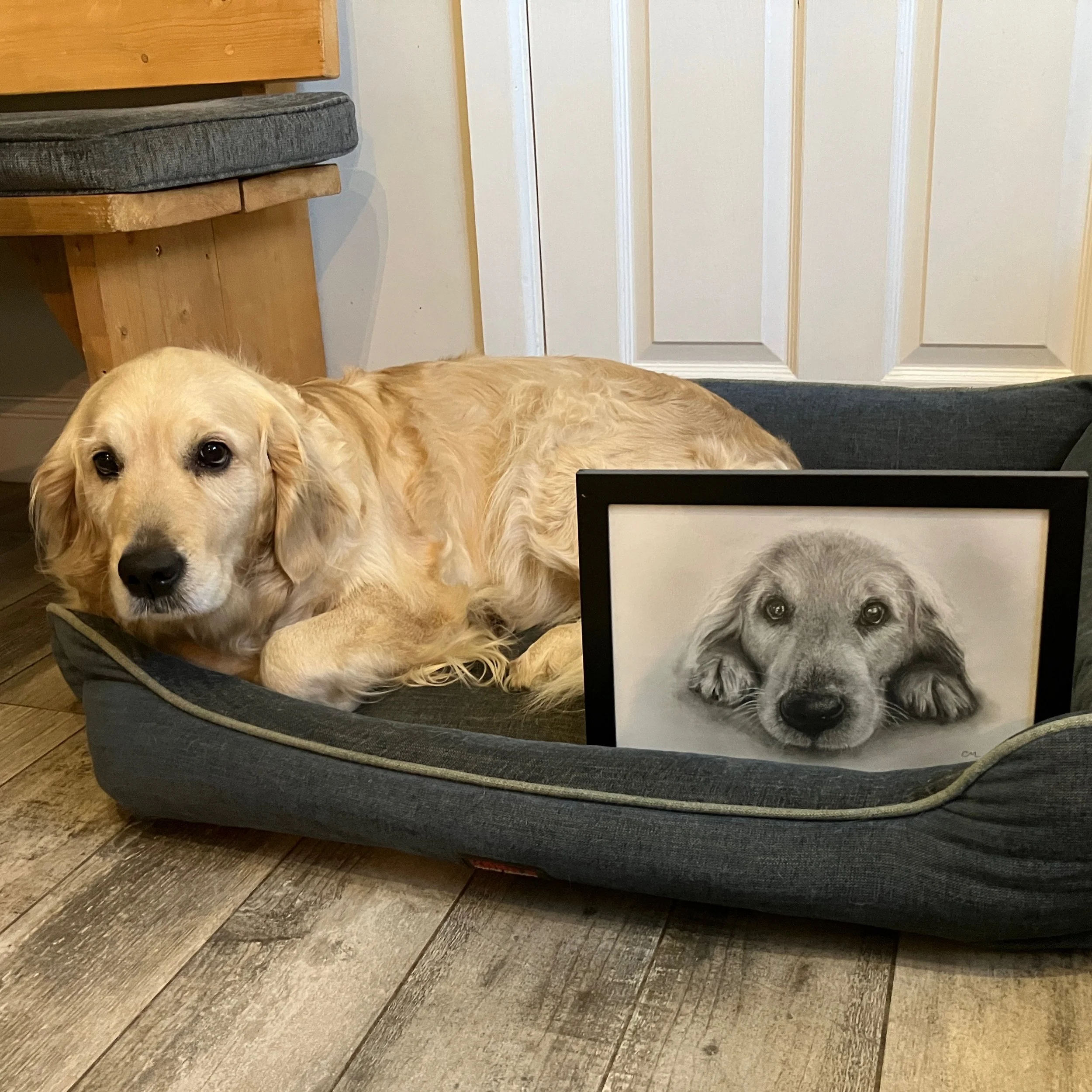 Phillips - Portsmouth