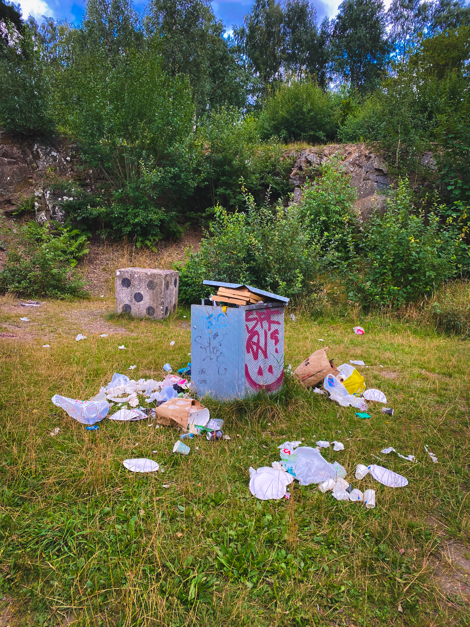 En soptunna omgärdad av skräp, inklusive tomma plast- och pappersförpackningar, på en gräsplätt ute i naturen, i bakgrunden syns täta buskar och träd.