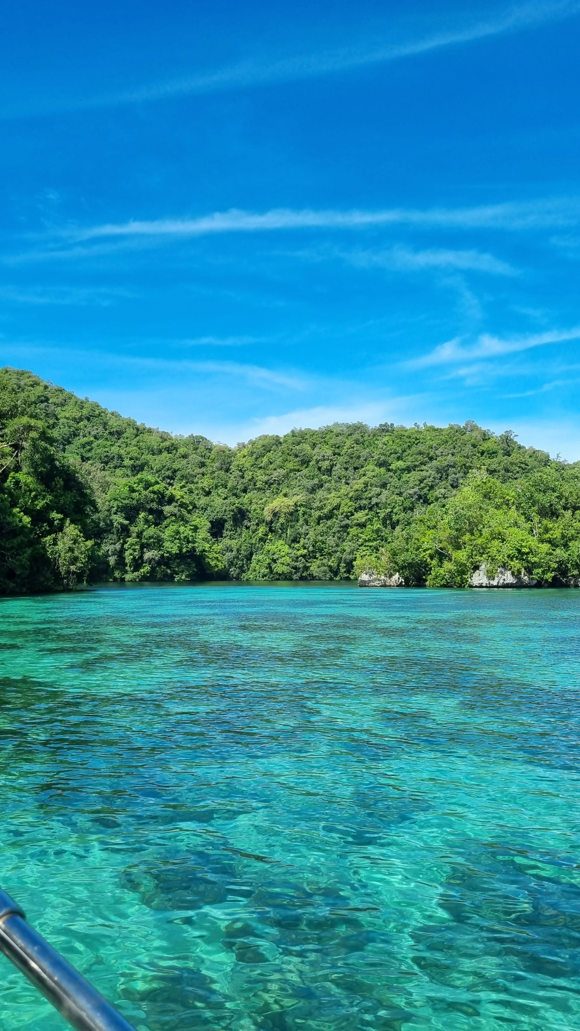 Clear blue water with a green forested hillside in the background and a blue sky with wispy clouds.