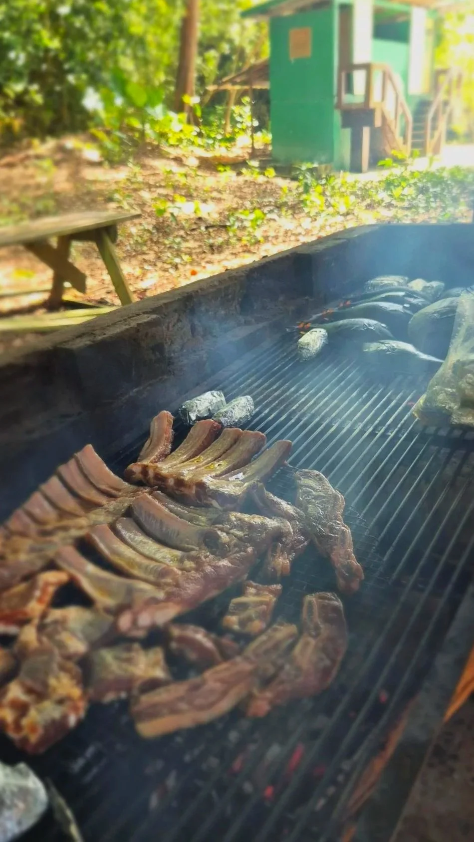 Barbecue grill with ribs, steaks, and charcoal, outdoor setting with greenery and a wooden structure in the background.