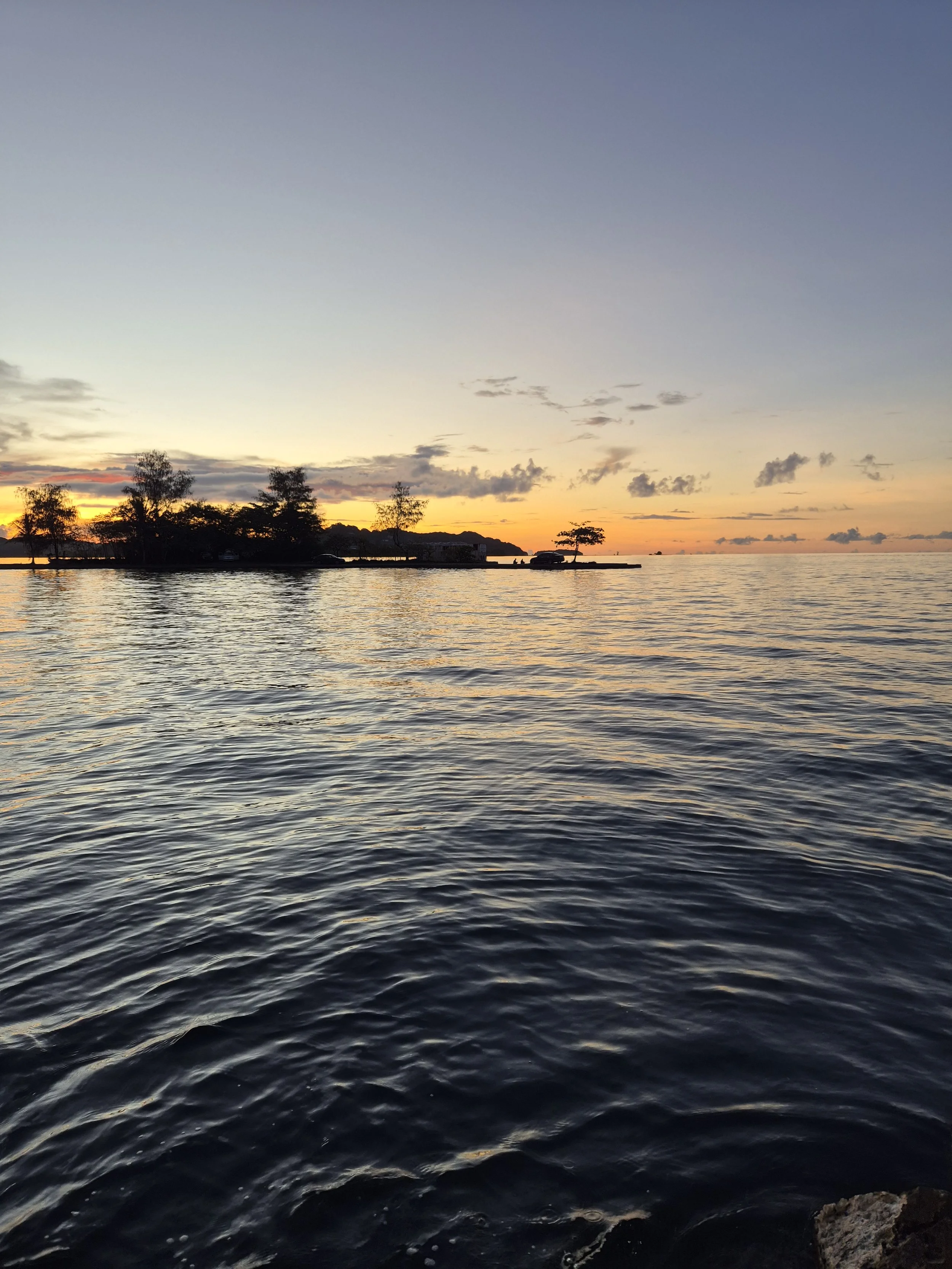 Sunset over calm ocean water with silhouetted trees along the shoreline.