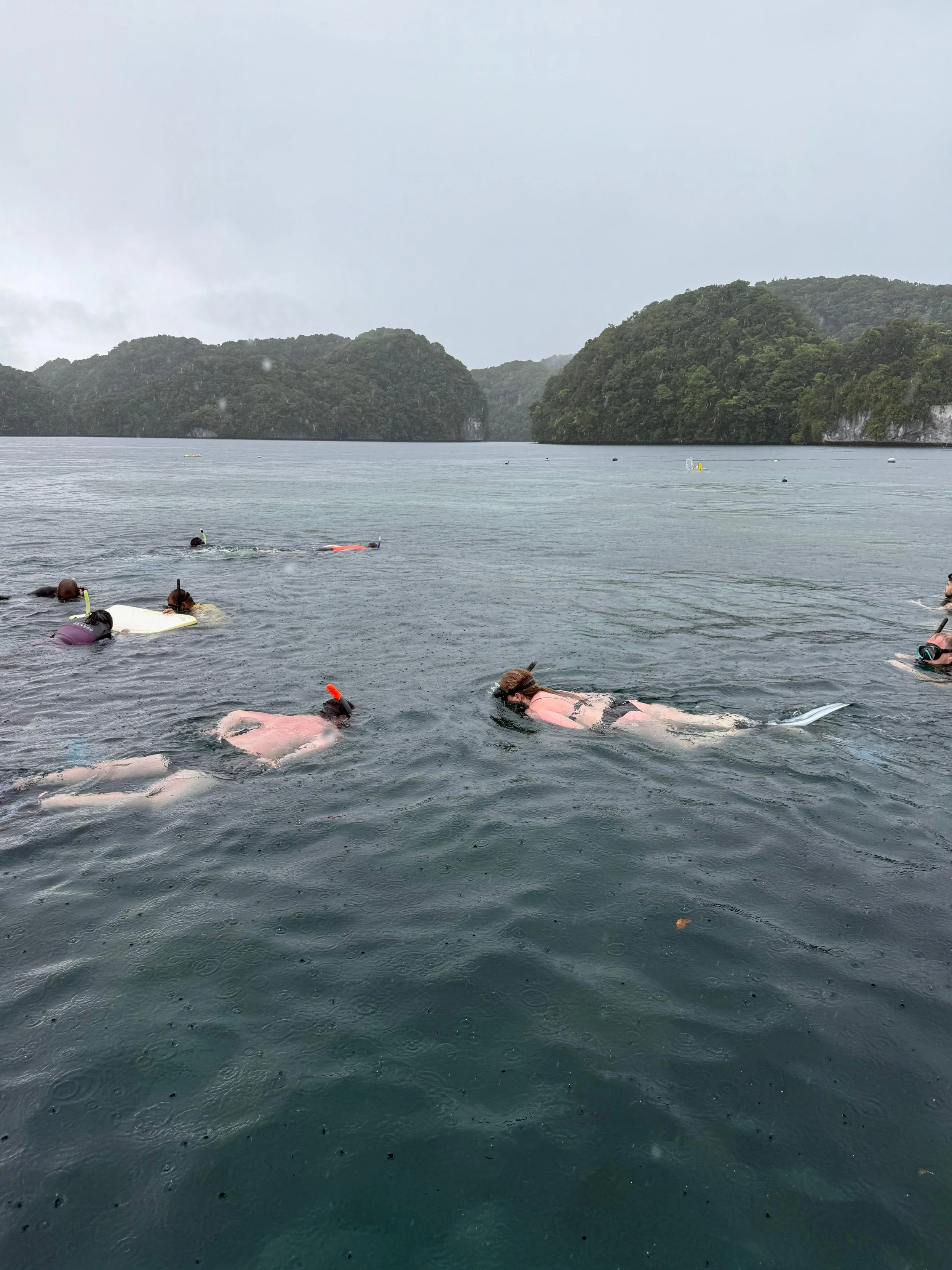 People snorkeling in a body of water with forested islands in the background.