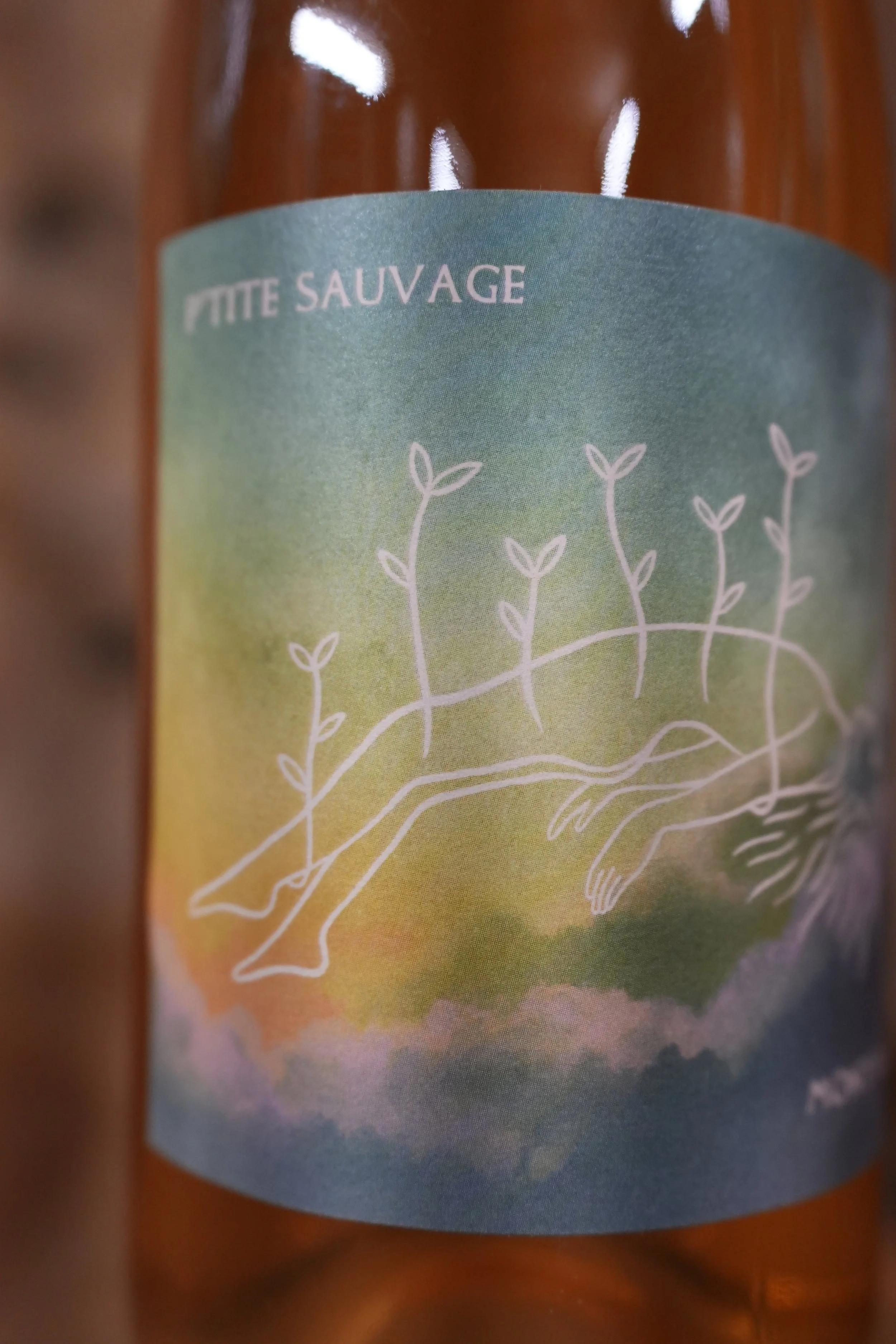 LA P'TITE SAUVAGE 2023 vin blanc  - 75 cl