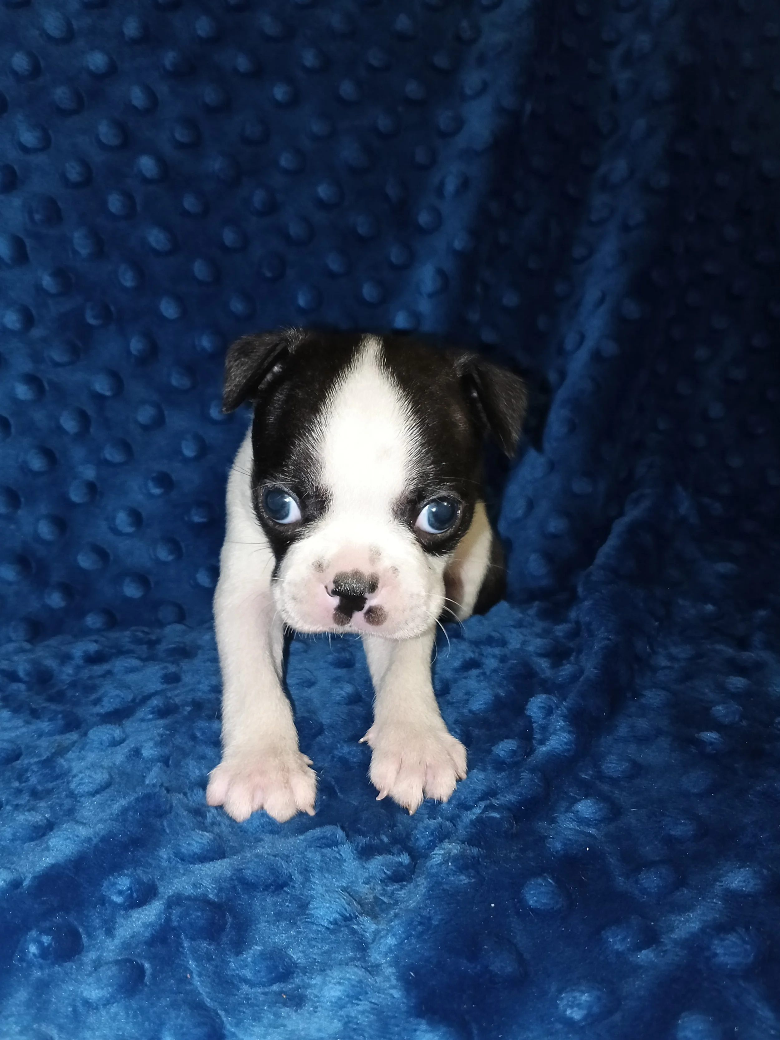 Status Reserved: Going Home Soon 💛