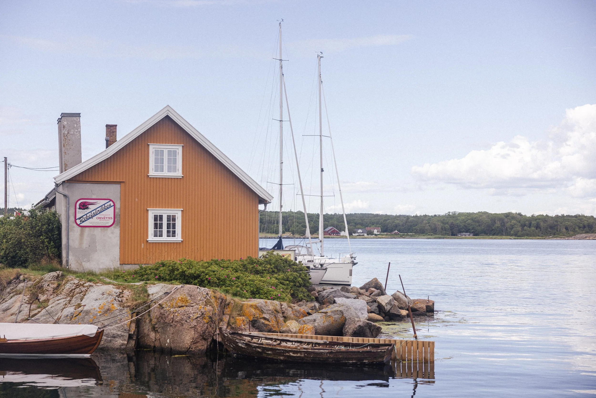 GlennPettersen_-9084.jpg