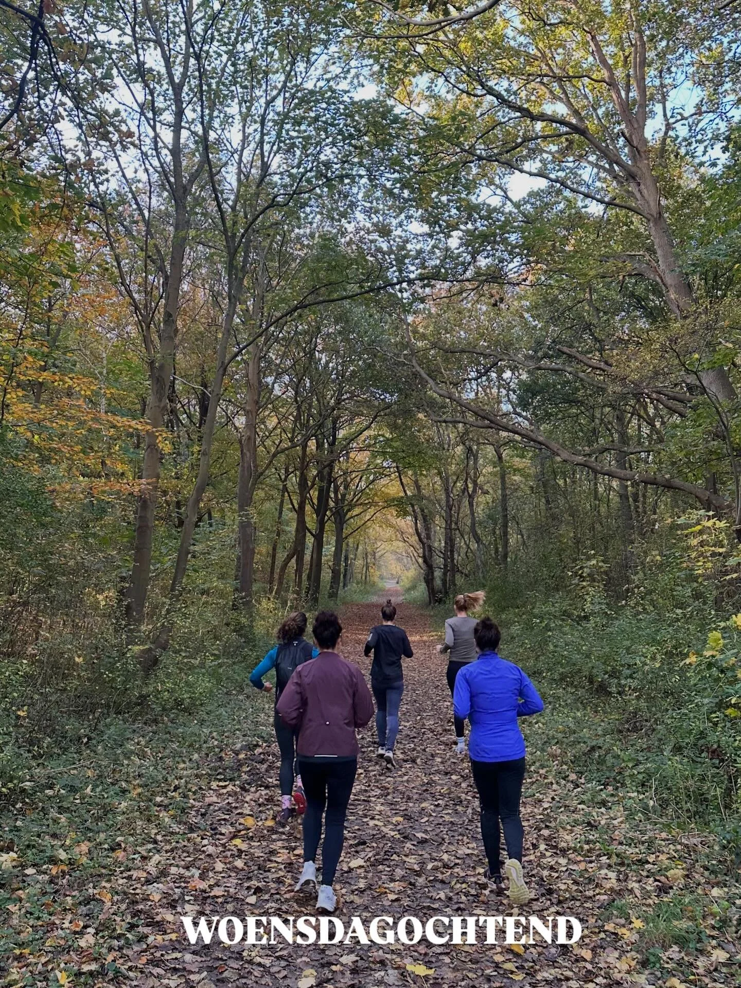 Op woensdagochtend zullen we runcamp training afwisselen met krachttraining. De ene week runcamp (zoals deze week), de andere week krachttraining.

Wil je een keer meetrainen? Boek een gratis proefles -> link in bio.

#kustlopers #castricum #bakku