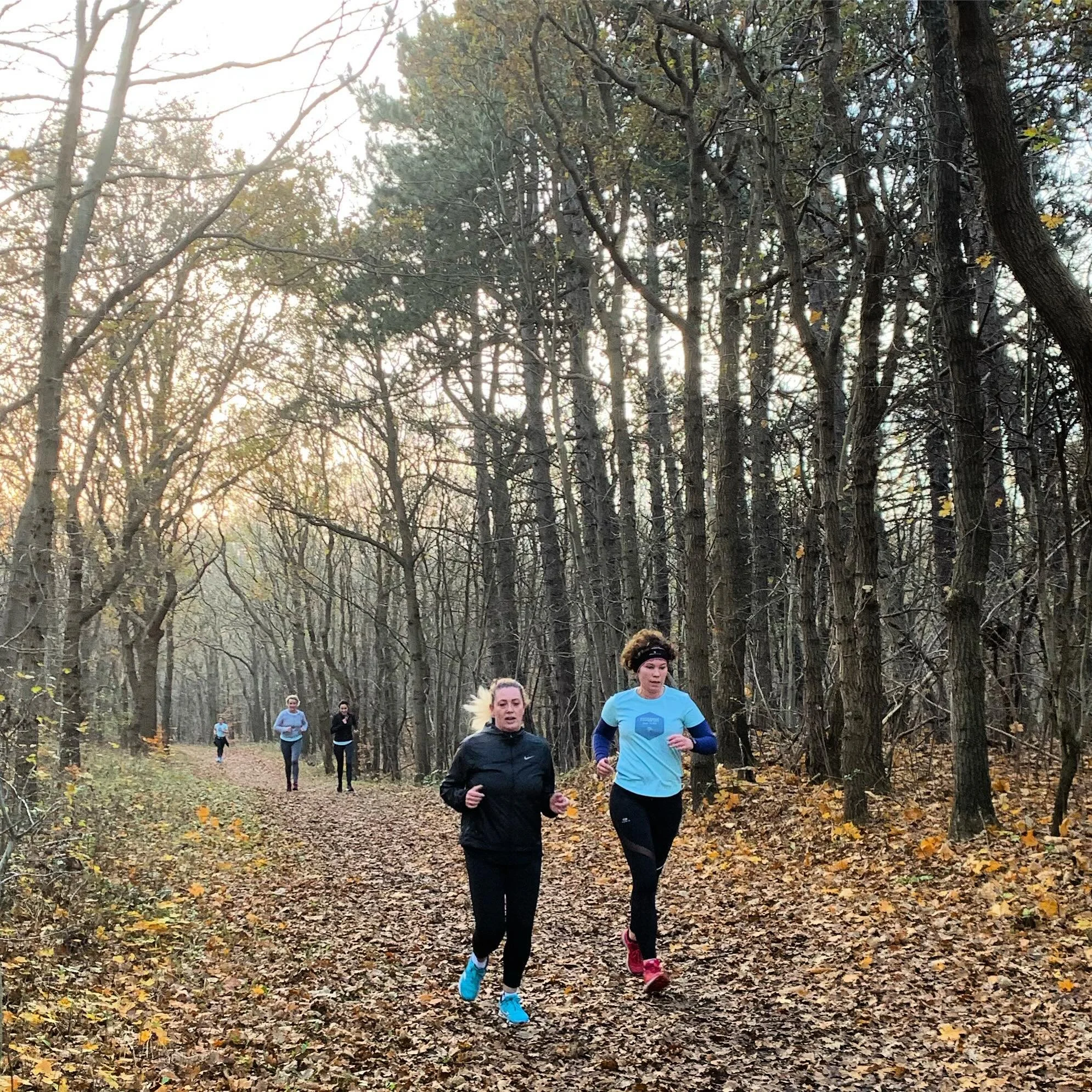 En zo begon Kustlopers in 2019/2020!

Een van de allereerste woensdagochtend trainingen! 

Zoek jij een fijne club om wekelijks aan te sluiten? 🙋&zwj;♀️ Boek dan nu jouw gratis proefles.

Tot gauw!

#kustlopers#morethanrunning #joinus