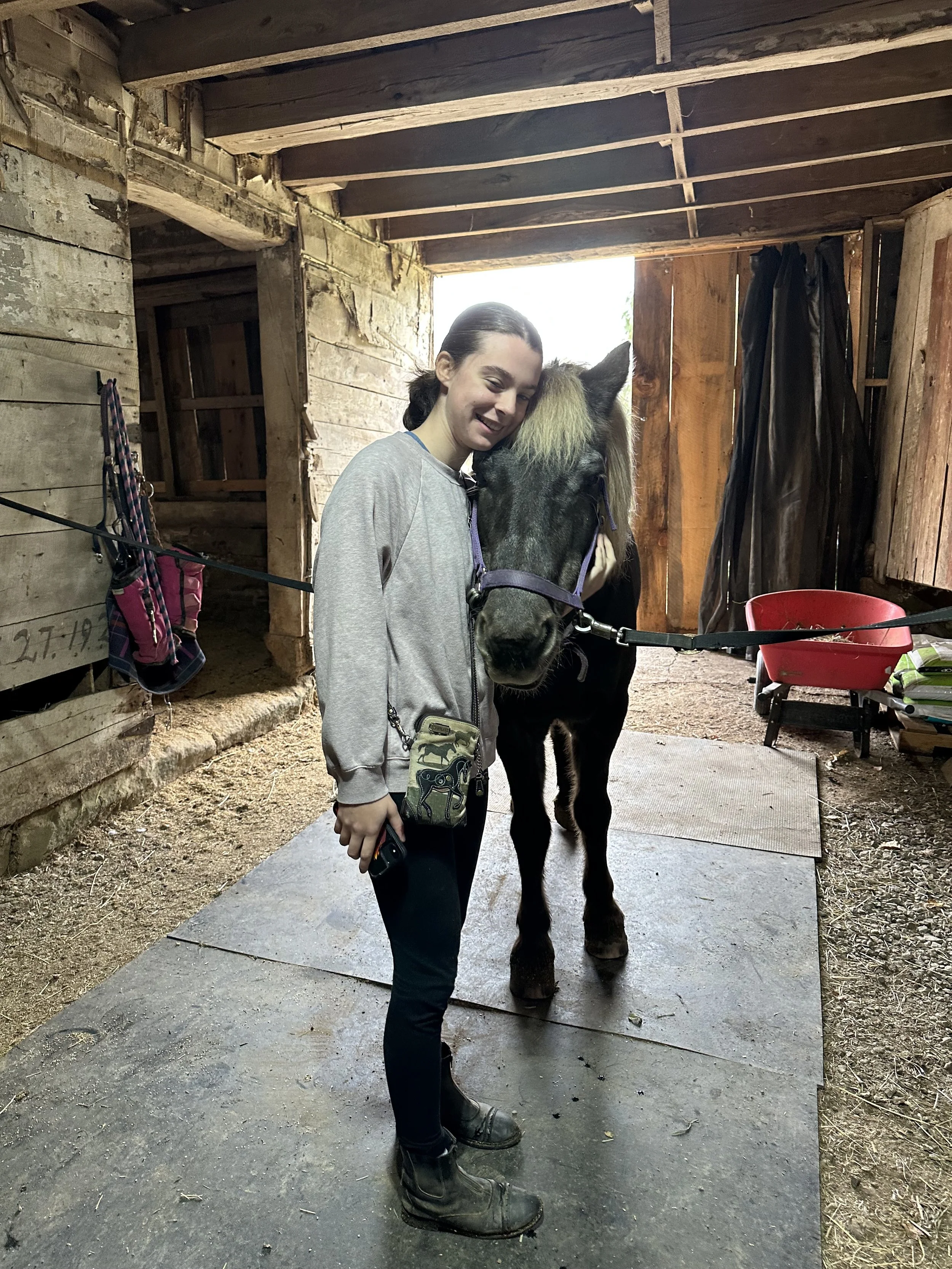 A young woman smiling and hugging a horse inside a rustic wooden barn, with various horse grooming tools and equipment around.