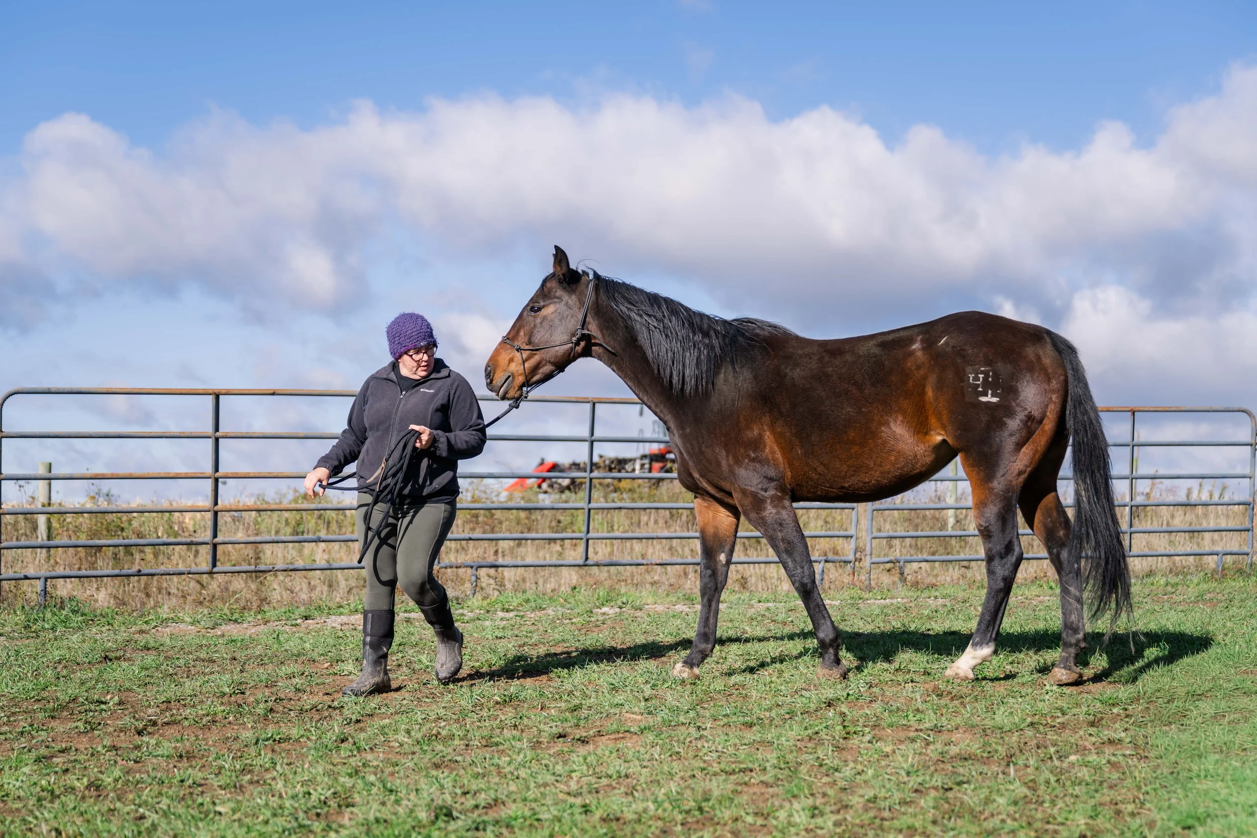 A woman in riding gear and a purple knit hat holding a horse's reins in an outdoor paddock under a partly cloudy sky.