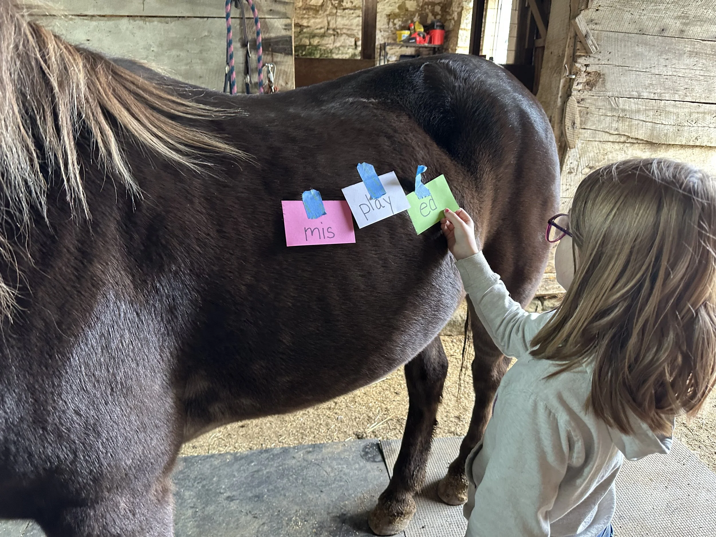 A young girl with glasses and long blonde hair, wearing a light-colored hoodie, places colorful paper words on a brown horse's side, spelling out 'miss,' 'play,' and 'ed' with blue tape, in a rustic barn setting.