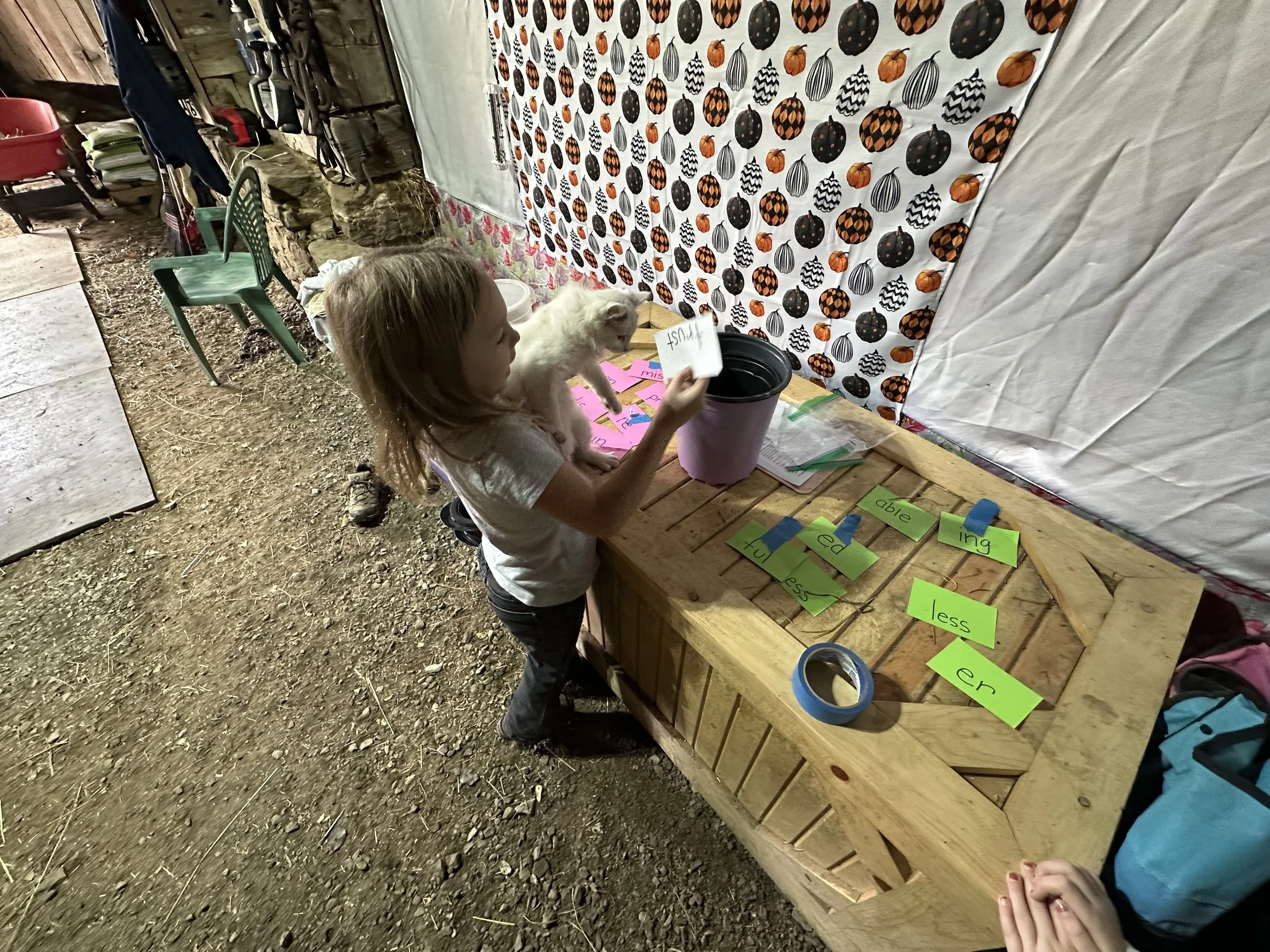 A young girl holding a small fluffy white animal, possibly a piglet, at a table with colorful word cards and a bucket. The background features a wall decorated with fall-themed pumpkins and a white cloth.