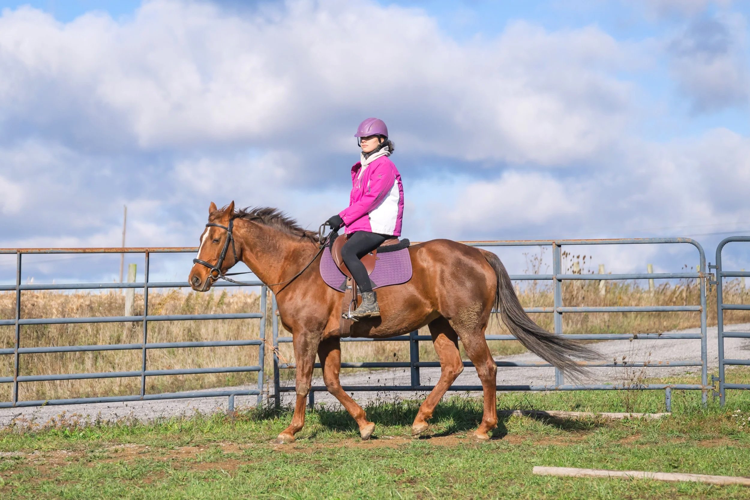 A person in a beige coat and helmet holding the reins of a brown horse behind a green metal fence during sunset.