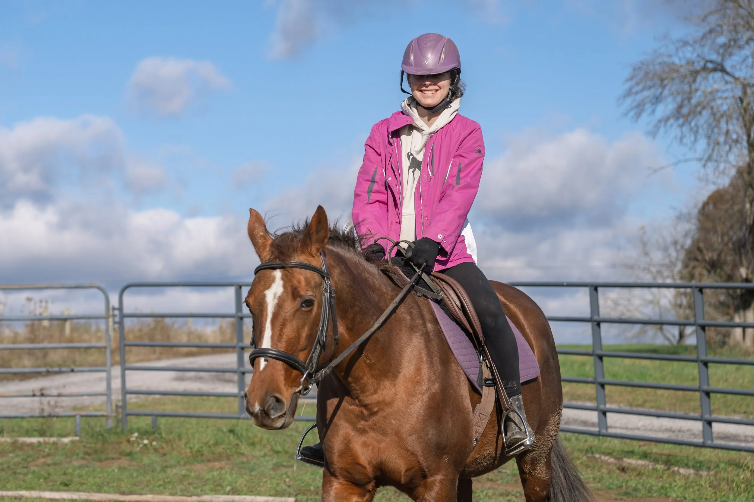 A woman in a pink jacket and purple helmet riding a brown horse in an outdoor riding arena with a blue sky and clouds.