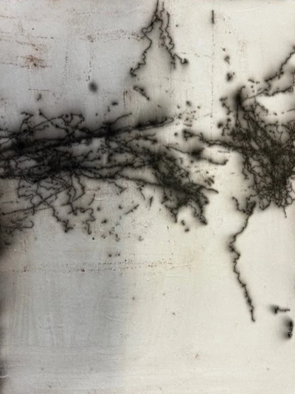 Black ink or paint splatters and lines on a white wall with some aged or stained areas.