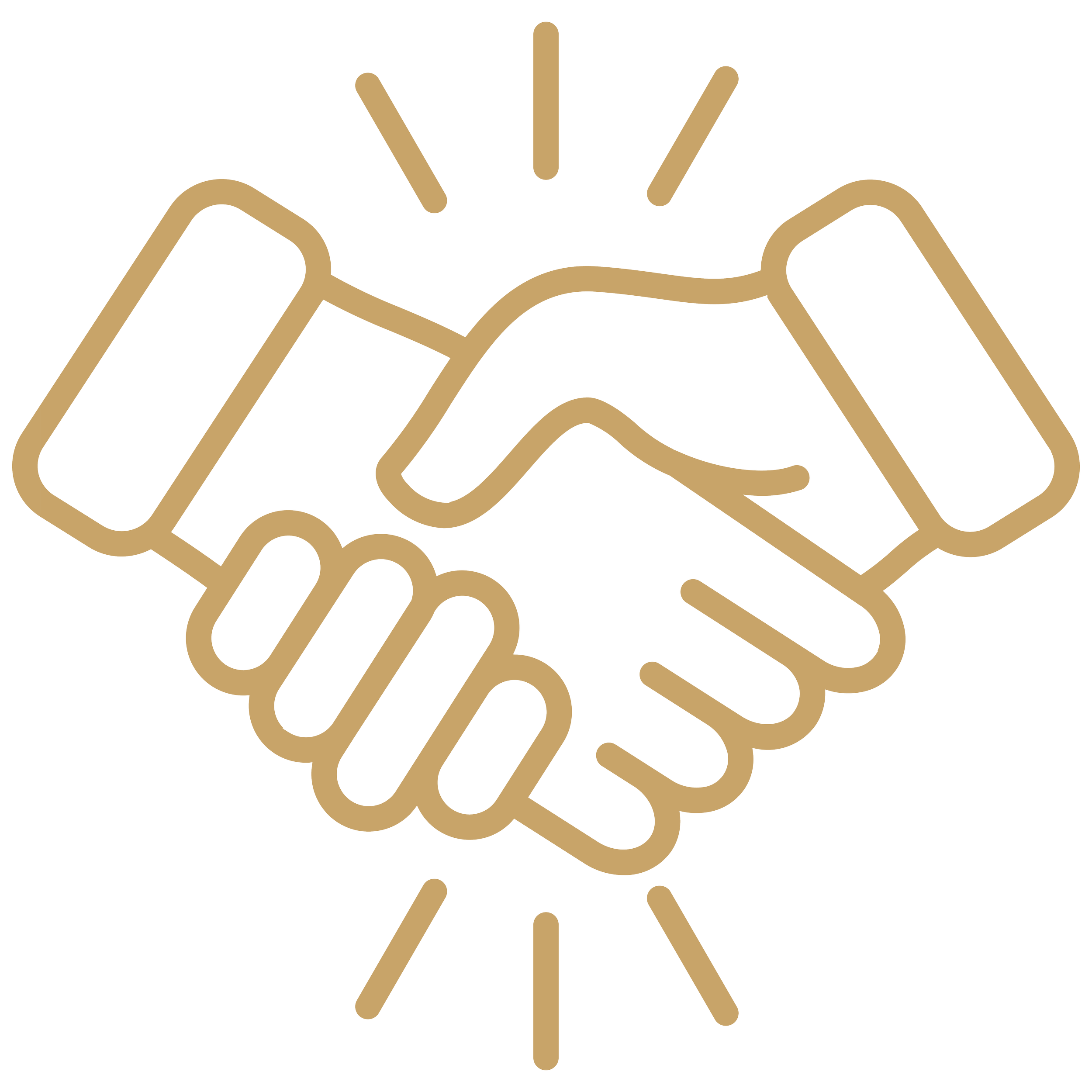 Outline of two hands shaking with radiating lines above and below.