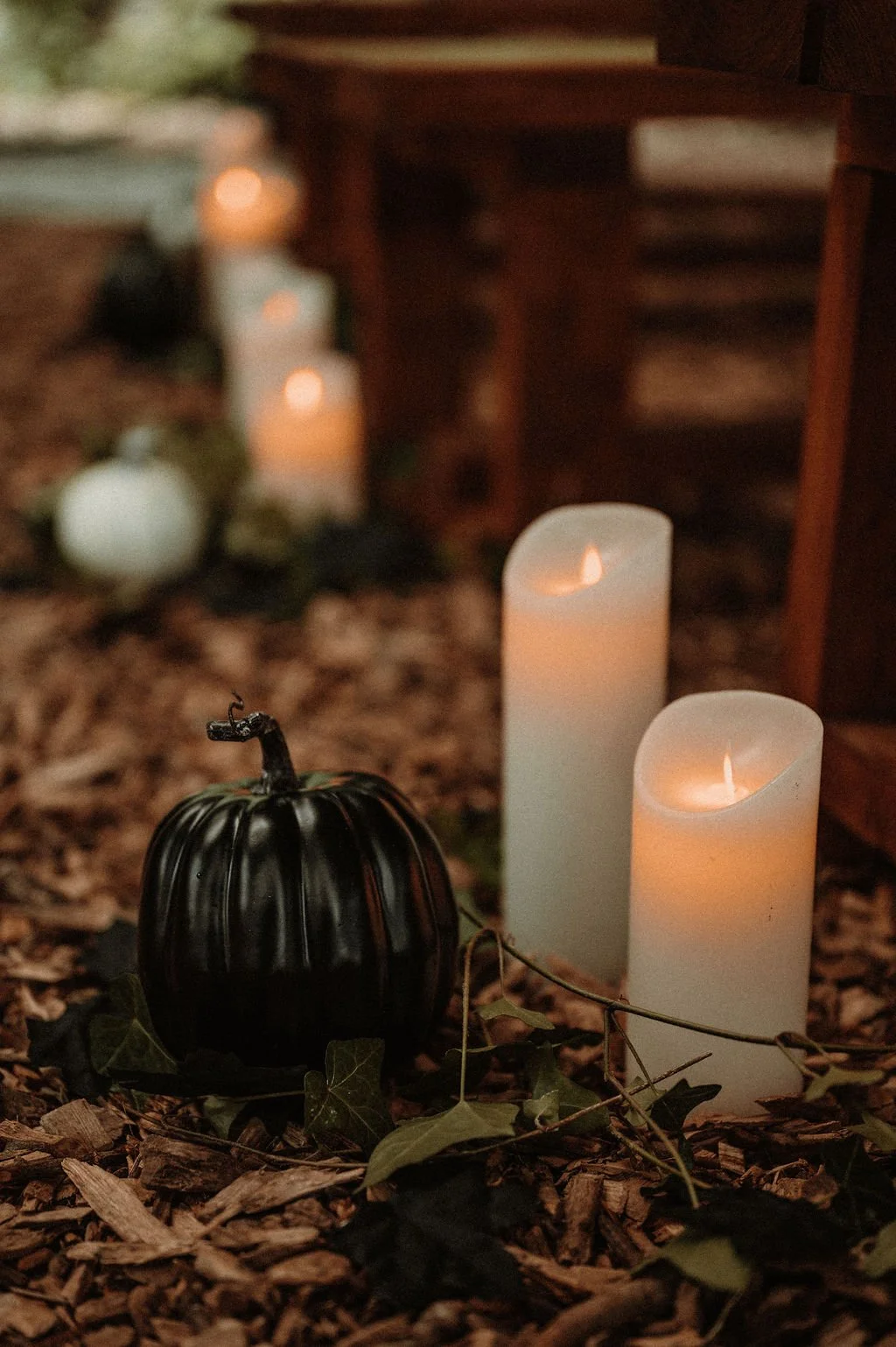 Dark Wedding Collective 00007_HZ_Karina_Jeff_062025-95.jpg