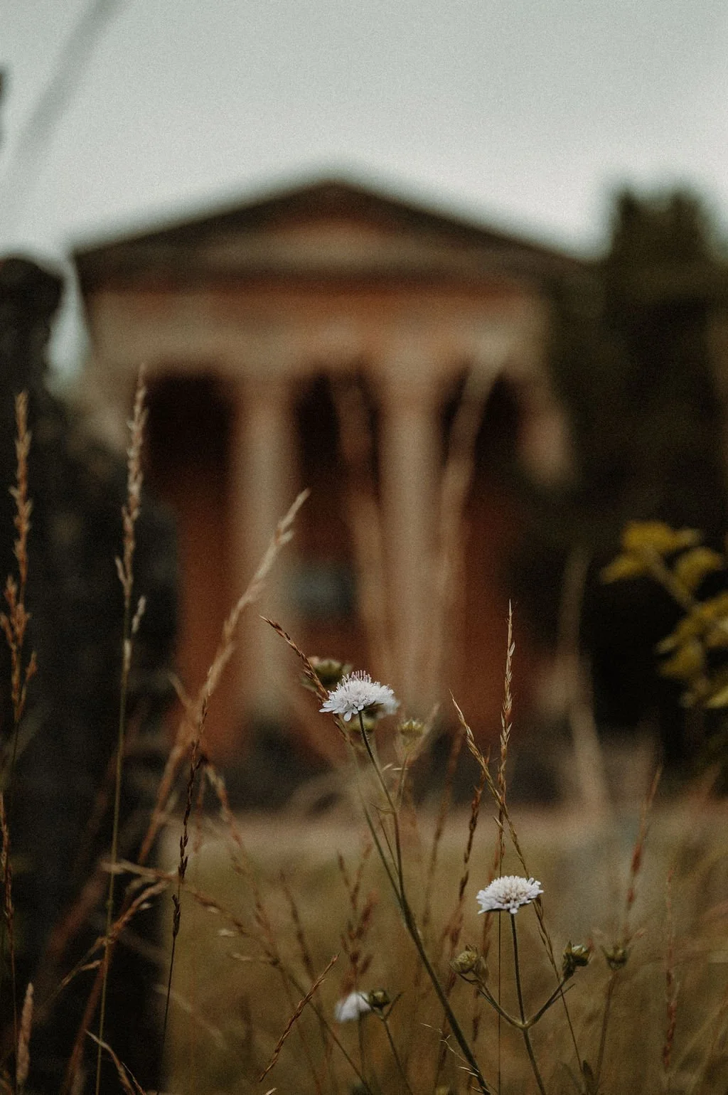 Dark Wedding Collective 00007_HZ_Karina_Jeff_062025-630.jpg