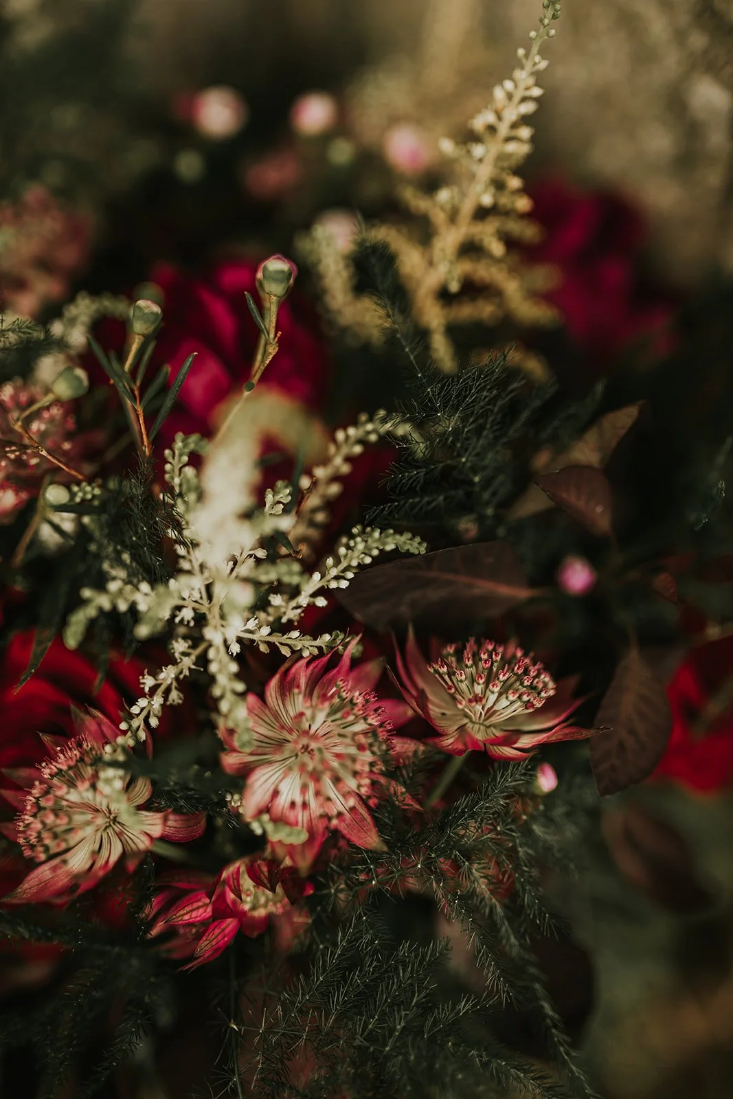 Dark Wedding Collective - Elopement Dark Elegant - Luxea Photographie-50.jpg